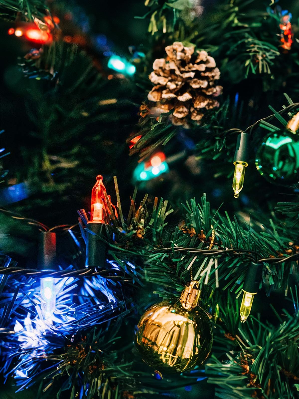 Twinkle Star 300 LED Halloween Mini String Lights, 99 FT Fairy Lights with Safe Adapter for Indoor Outdoor Home Garden Party Chr