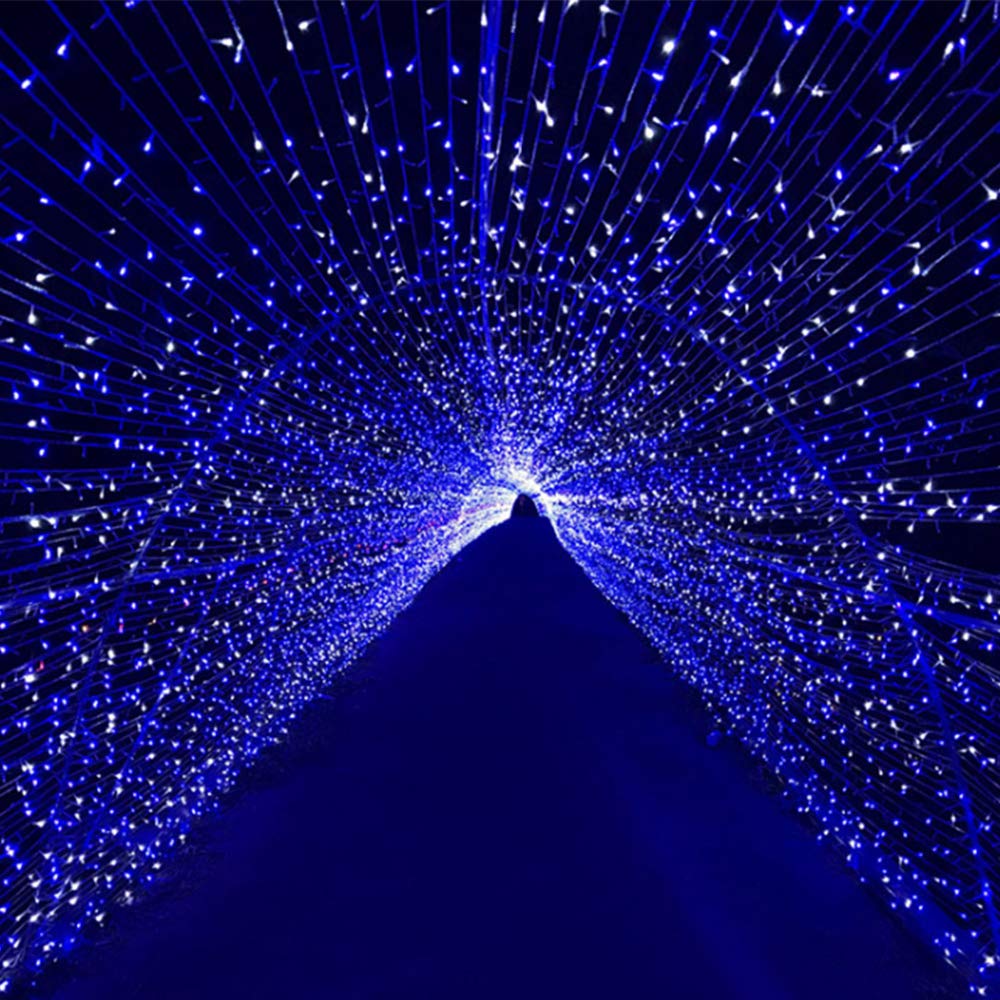 Mygoto Led String Lights 500Led 165Ft Indoor/Outdoor Fairy Lights 30V 8 Modes Blue+White For Home, Party, Wedding, Wall Decoration