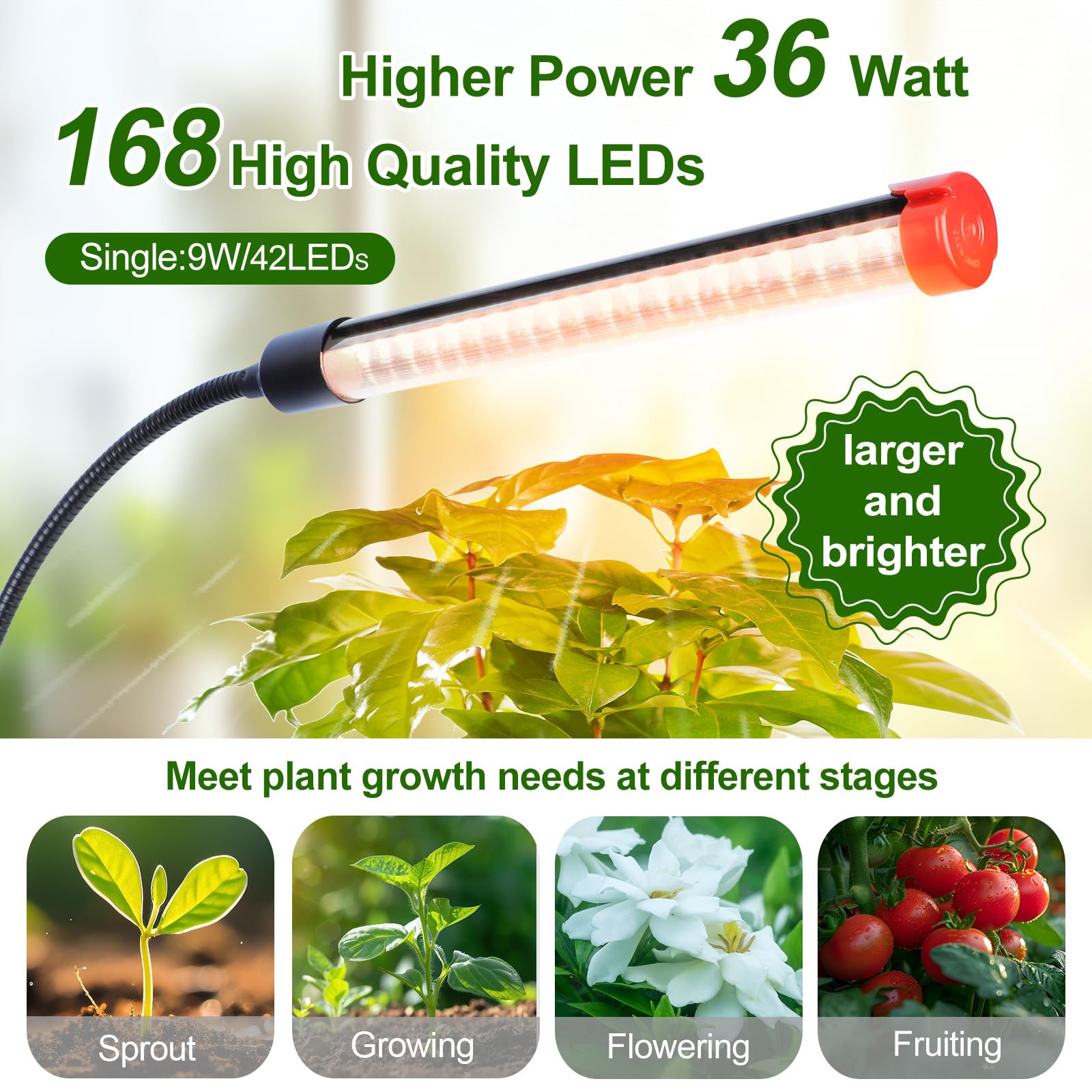 GroCruiser 4-Head Grow Lights for Indoor Plants, 36W, Black, Timer, Aluminum, Ideal for Succulents and Cacti