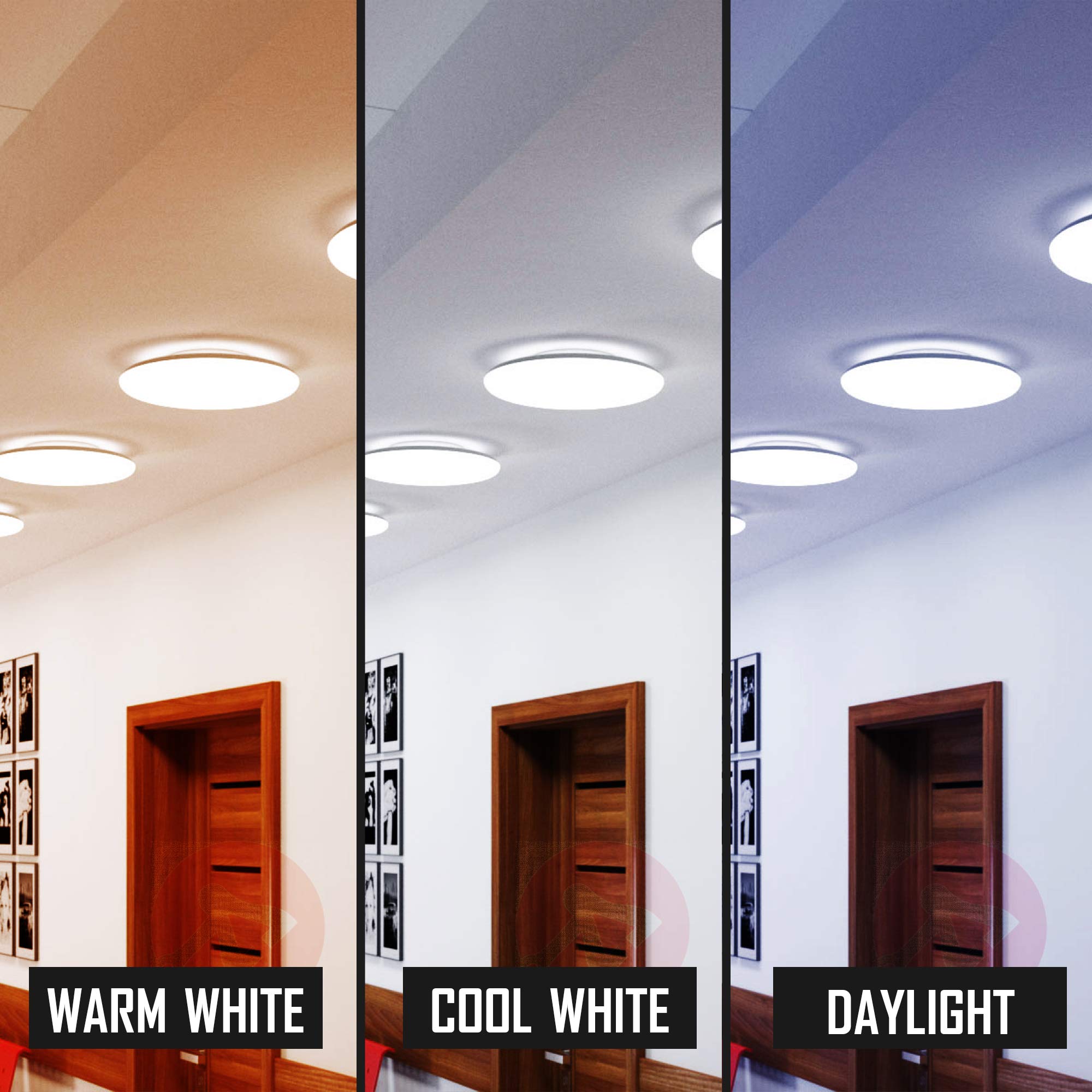 Bulbmaster Fc8T9/Cw 22W T9 Fluorescent Circular Light Bulb, Cool White 4100K, G10Q 4-Pin Base, 8