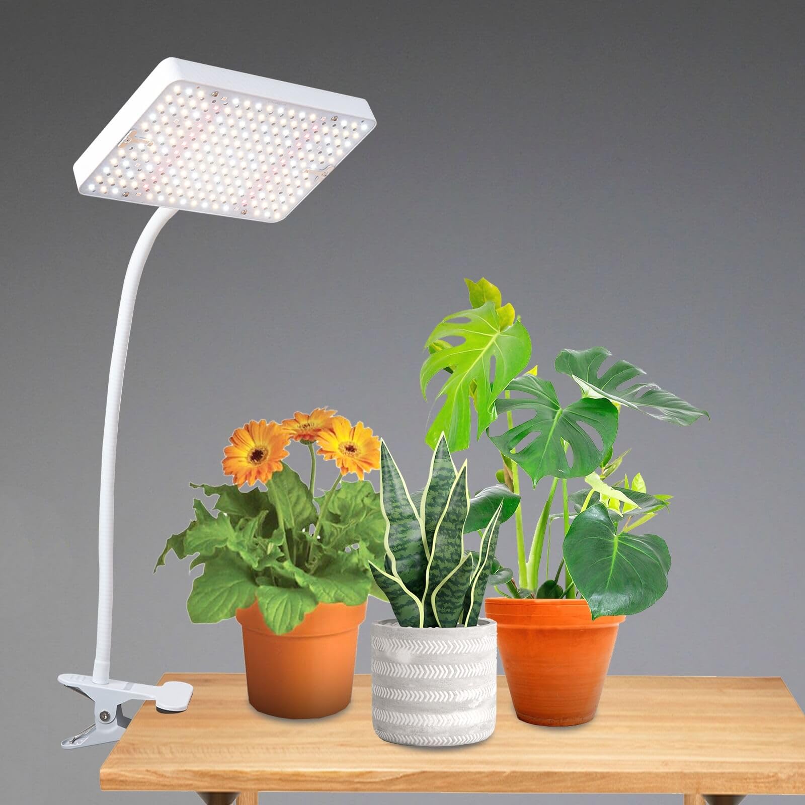 Jinhongto Clip Grow Light Led Full Spectrum Uv Ir, 25 Watt Veg Seed Starting Seedlings Bonsai Houseplant Plant Light, 2000 Lumen