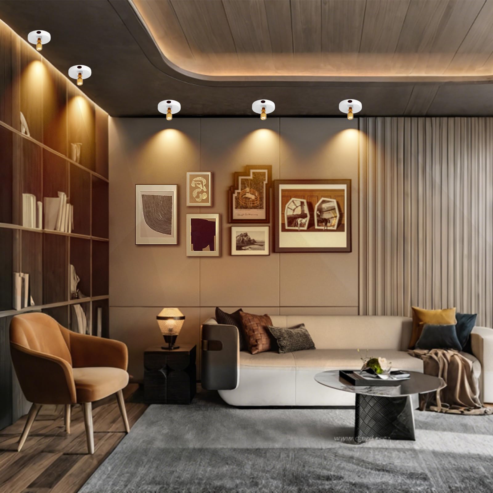 KANESIKI Rechargeable Spotlight, Battery Operated Picture Lights with Remote, Cordless Plant Spot Light Indoor, LED Accent Light