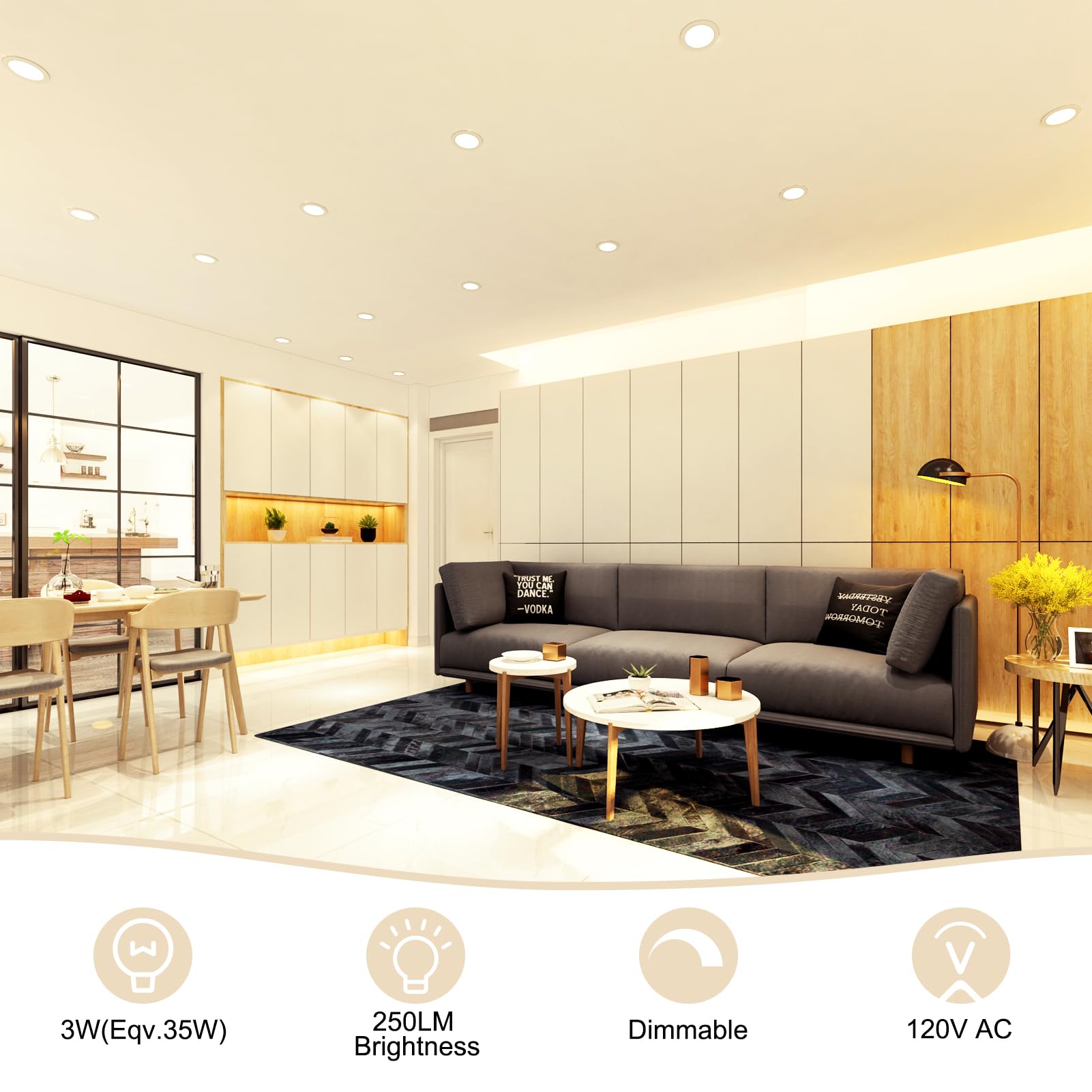 Ygs-Tech 2 Inch Led Recessed Lighting, Dimmable Downlight 3W(35W Halogen Equivalent), Cri80, 3000K Warm White Led Ceiling Light