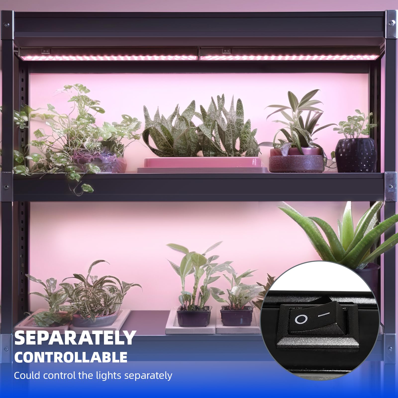 Barrina LED Grow Lights, T5 Full Spectrum Light Strips, 1ft, Black Cover, Pinkish White, Model INWT504005650Fc, 8 Pack