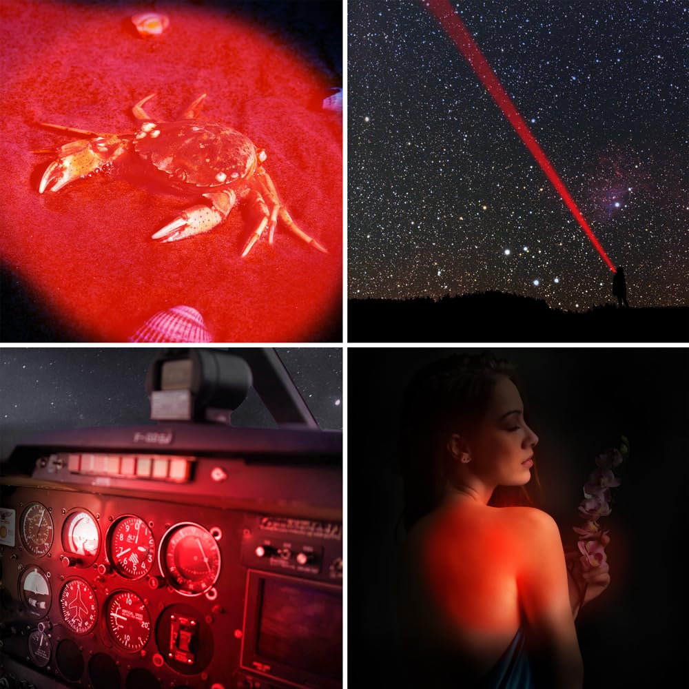 WAYLLSHINE Red Flashlight, Stepless Dimming, 620nm-630nm, Adjustable Brightness, Model L01-Flashlight-Redlight-Stepless