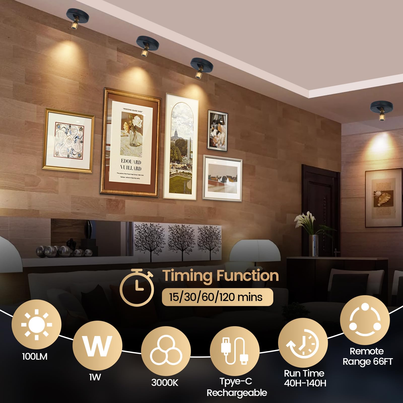 HAMVIDNE LED Spotlight, Rechargeable Battery Spot Lights with Remote, Uplighting Indoor, Stick Plant Spotlights for Wall Art Dis