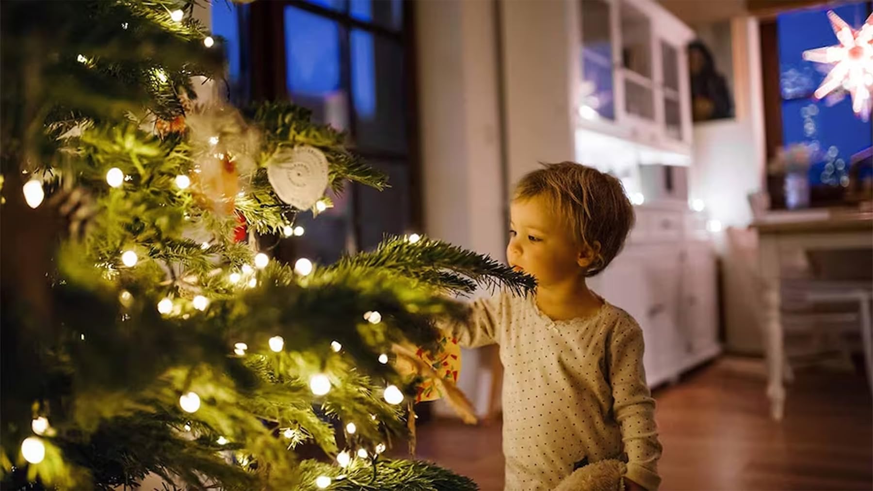 Broulove Christmas Lights Outdoor 50 Count, 25 Ft Christmas Lights Outdoor Indoor, Commercial Grade, Heavy Duty Green Wire, Pure White Light, 6 Inches Spacing