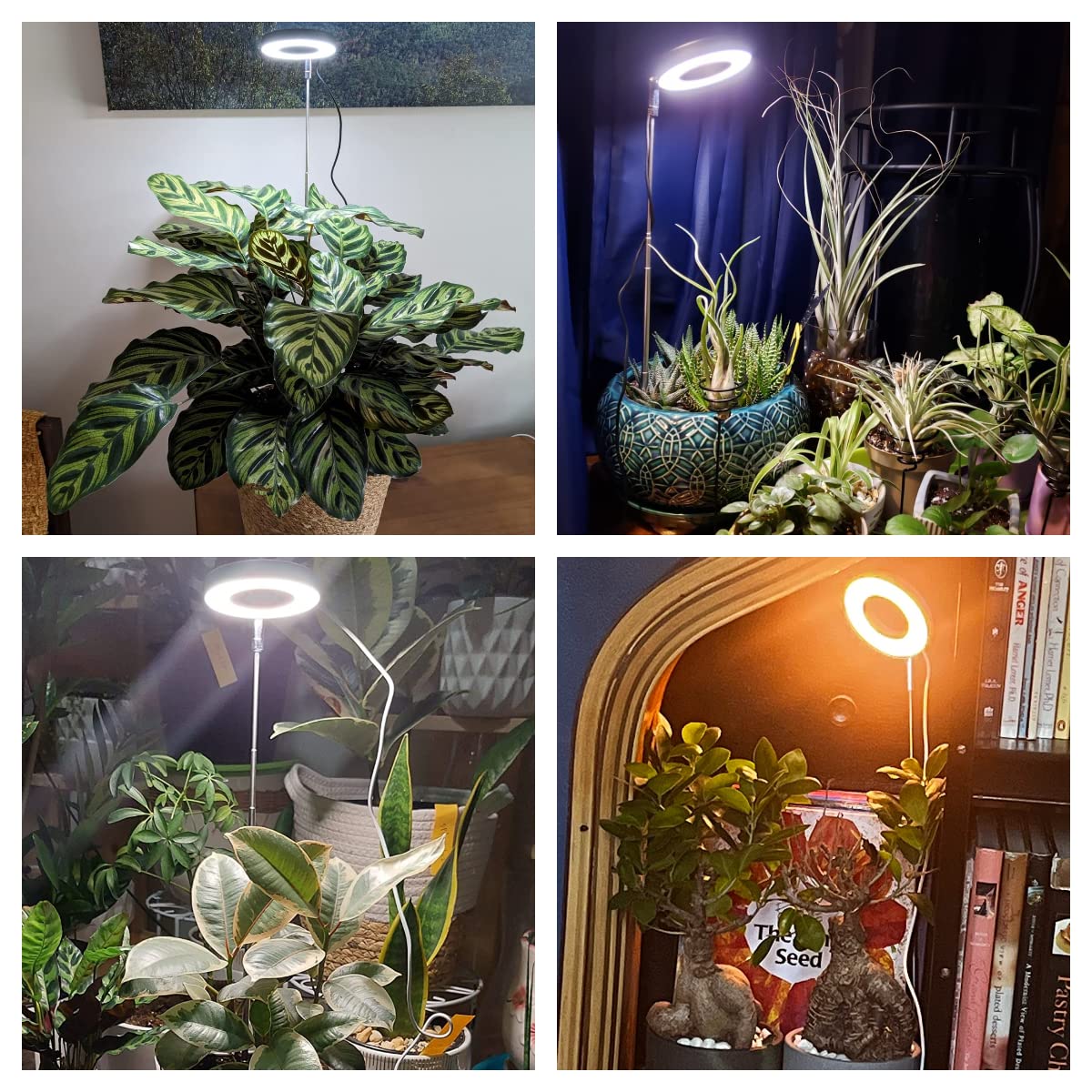 Aokrean Indoor Plant Grow Lights, 48 LEDs Full Spectrum, Adjustable Height, 2 Packs, Black, Model BL-C10A, Auto Timer, 10 Brightness Levels
