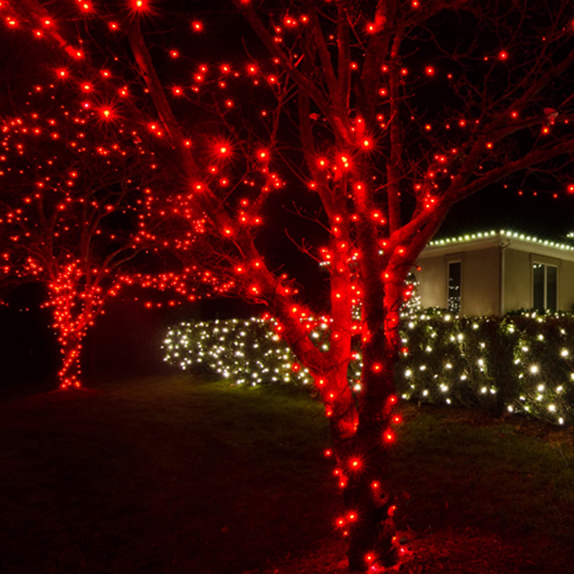 Dazzle Bright 300 Led Christmas String Lights, 100 Ft Connectable Waterproof String Lights Green Wire With 8 Modes Christmas Dec