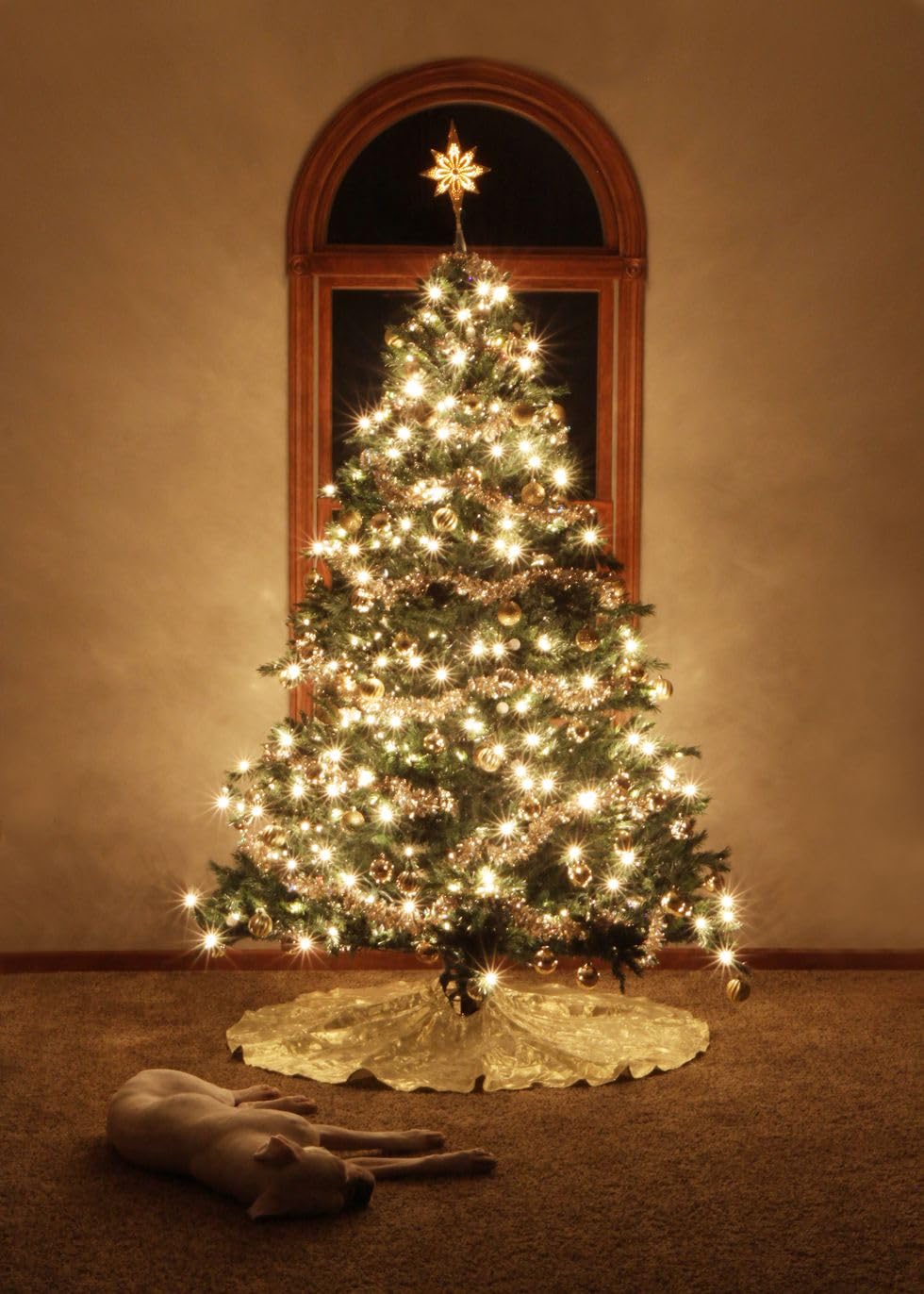 Heyworld 100 LED Twinkle String Lights, Warm White, 27 Ft, UL Certified, Indoor/Outdoor, Connect Up to 25 Sets
