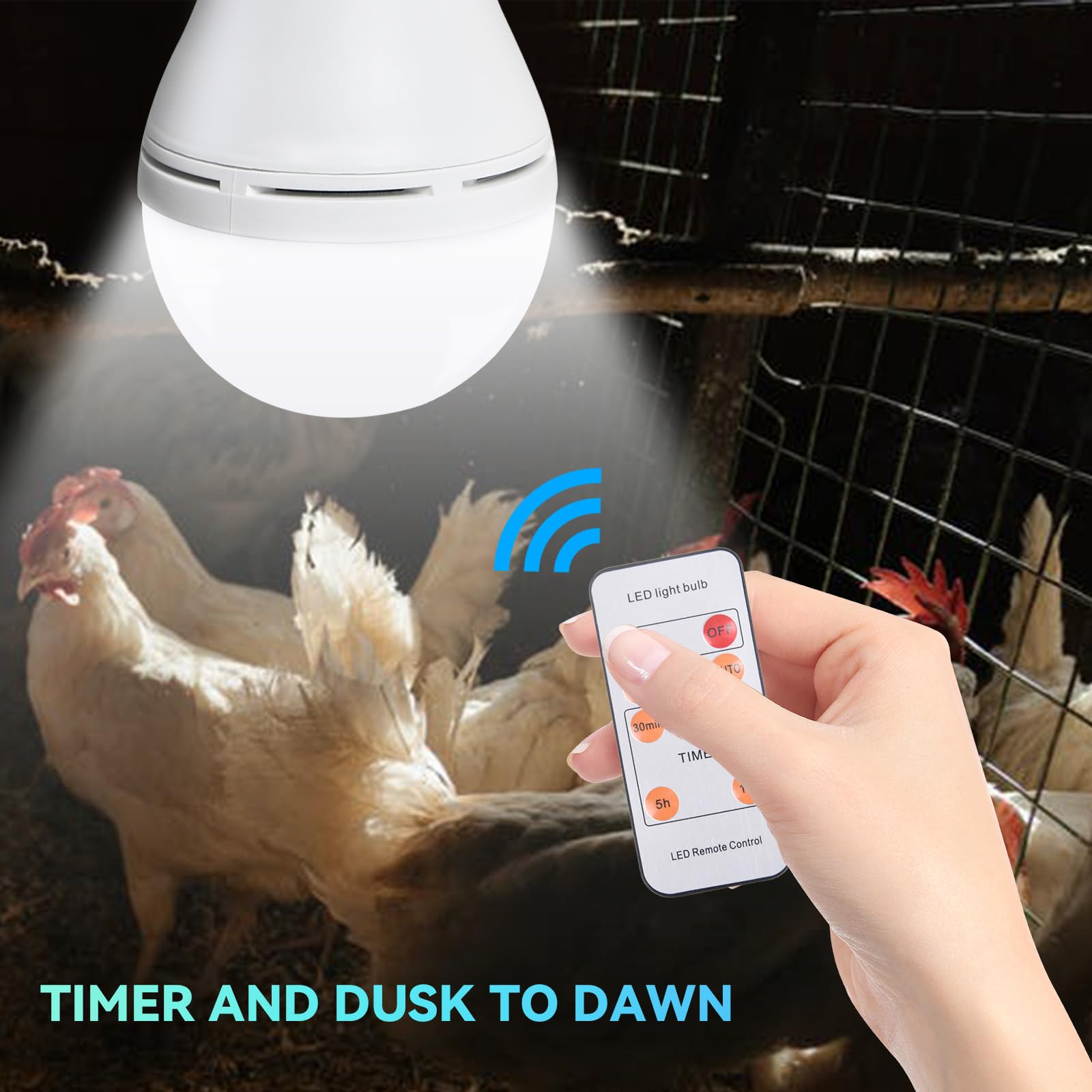 Beinhome Solar Light Bulbs - Rechargeable LED Coop Light with Timer for Indoor/Outdoor Use, Ideal for Camping & Emergency Power Outages