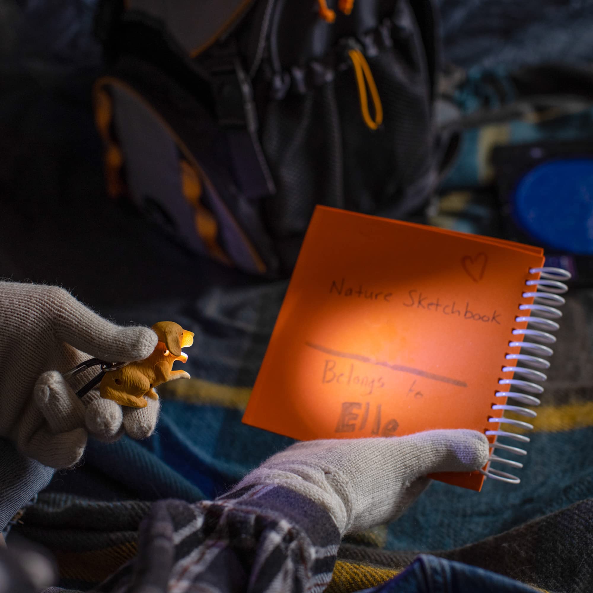 Big Discoveries WildLight Animal Carabiner Flashlight - Fun Mini Keychain Flash Lights for Kids, Nurses, Camping (Retriever)