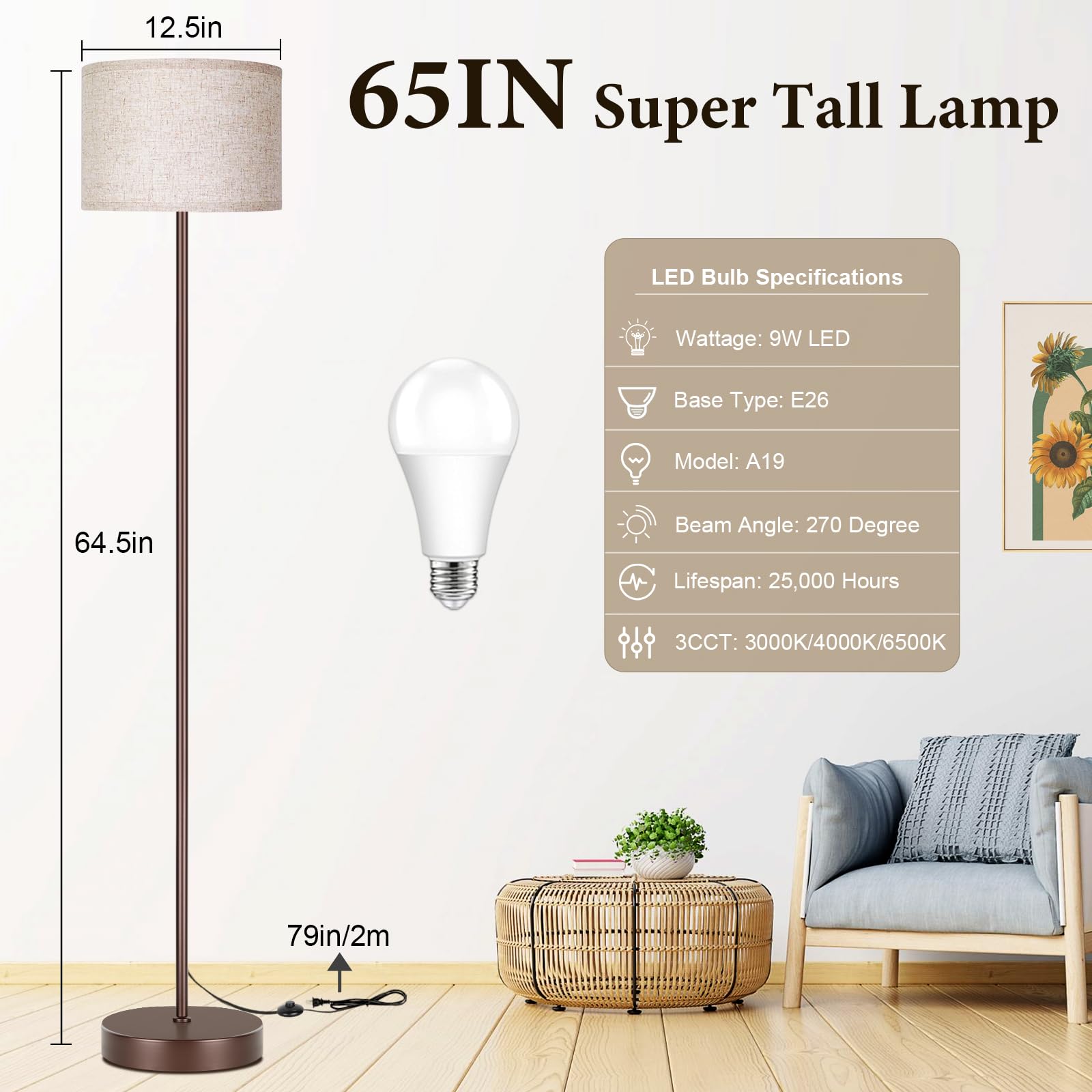 Simple Design Floor Lamp With 3Cct 9W Led Bulb, 65? Modern Industrial Standing Lamp For Living Room With Foot Switch, Tall Lamp
