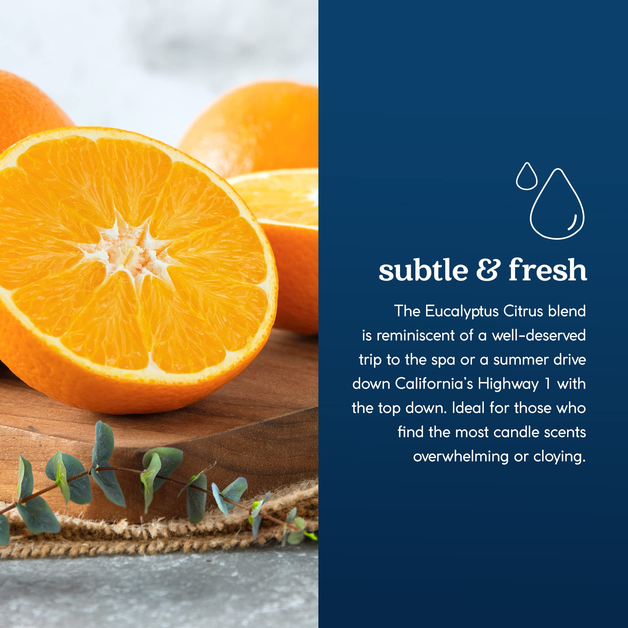 Goodlight Paraffin-Free Scented Tea Lights Candles, Clean-Burning And All-Natural Tea Light Candles, 4-Hour Burn Time (Eucalyptu