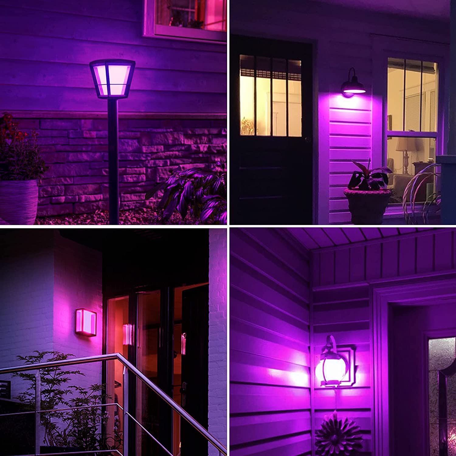 Gohdlamp Led Black Light Bulbs A19-12W For Halloween Decor & Glow-In-The-Dark Fun - Uva 395-400Nm - 3 Pack