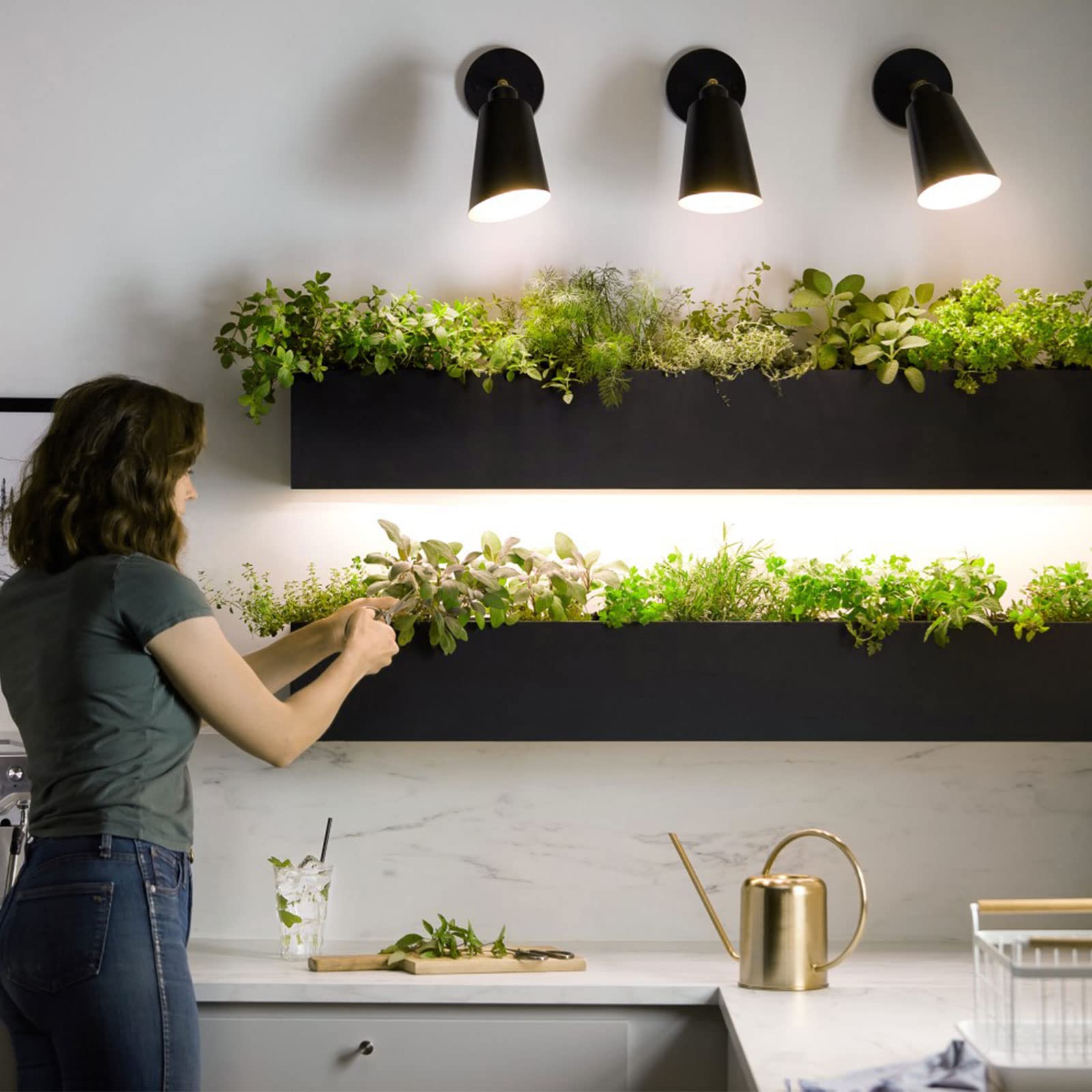 Briignite 2 Pack Led Grow Light Bulb, Br30 Grow Light Bulbs, Full Spectrum Grow Light Bulb 12W, Plant Light Bulbs, Grow Light Fo