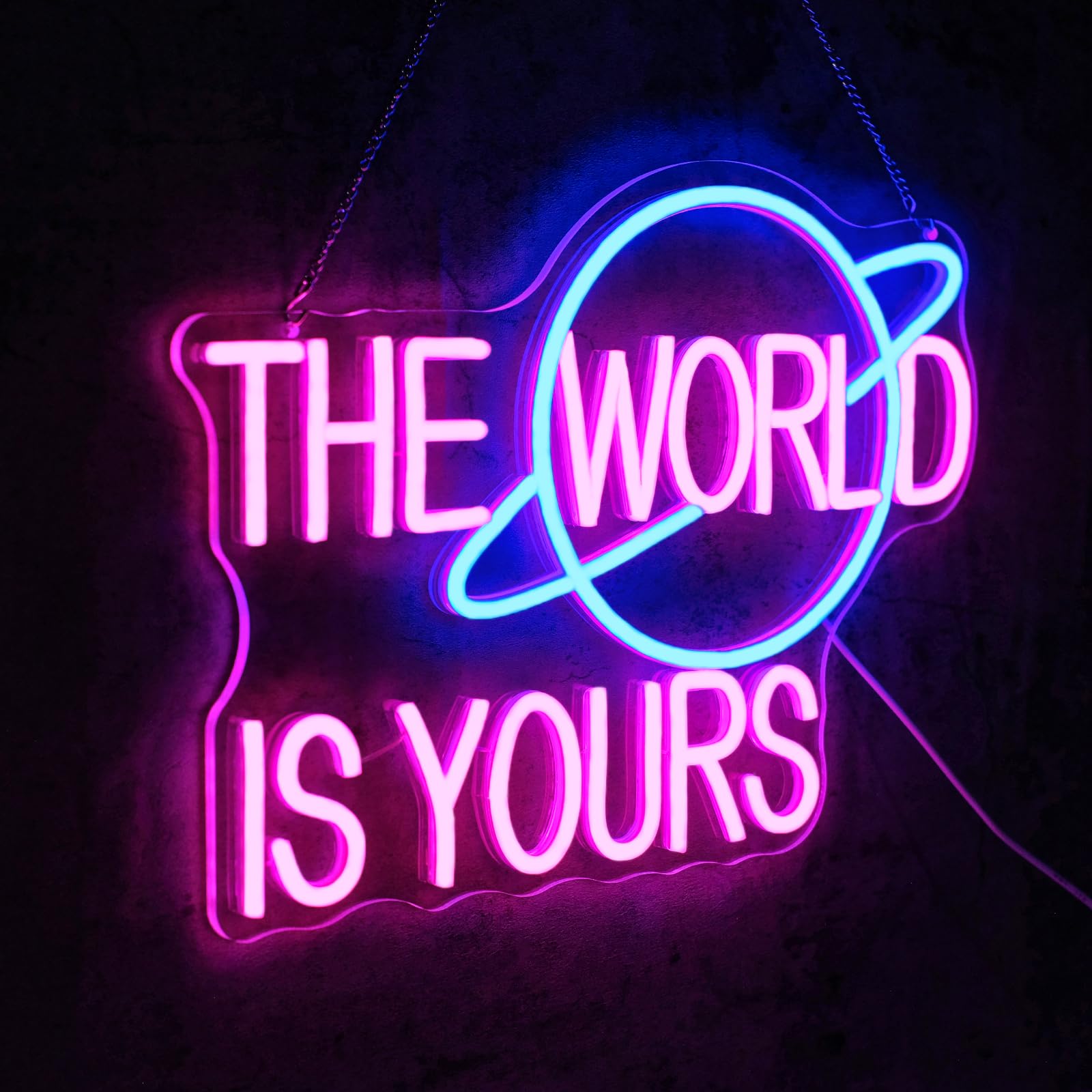 Virlusy Neon Sign for Wall Decor, Dimmable LED Lights, Acrylic, Pink Blue, Model YL-The World is Yours, Letter Size