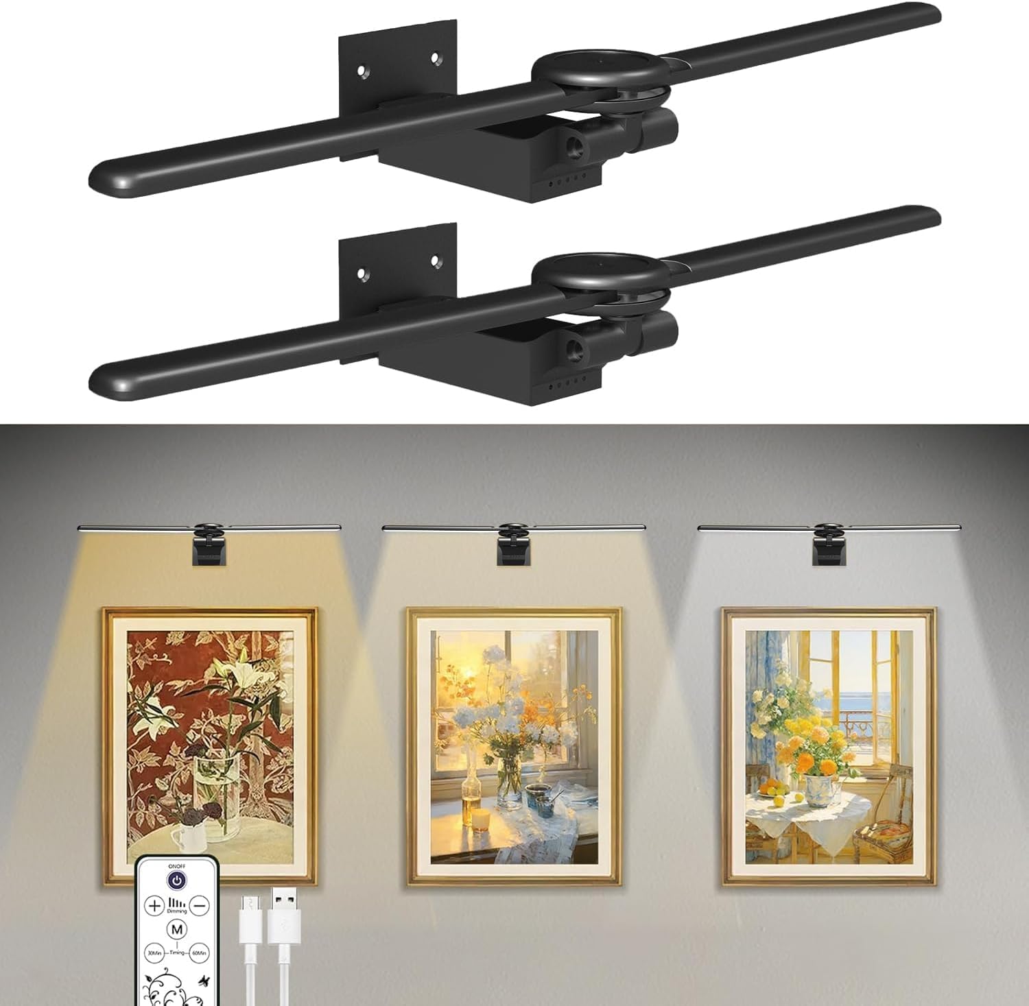 Cotaros 2 Pack Picture Light - 18in Battery Operated Art Light, Rechargeable, Dimmable, Remote Control, Black, Model APL-1