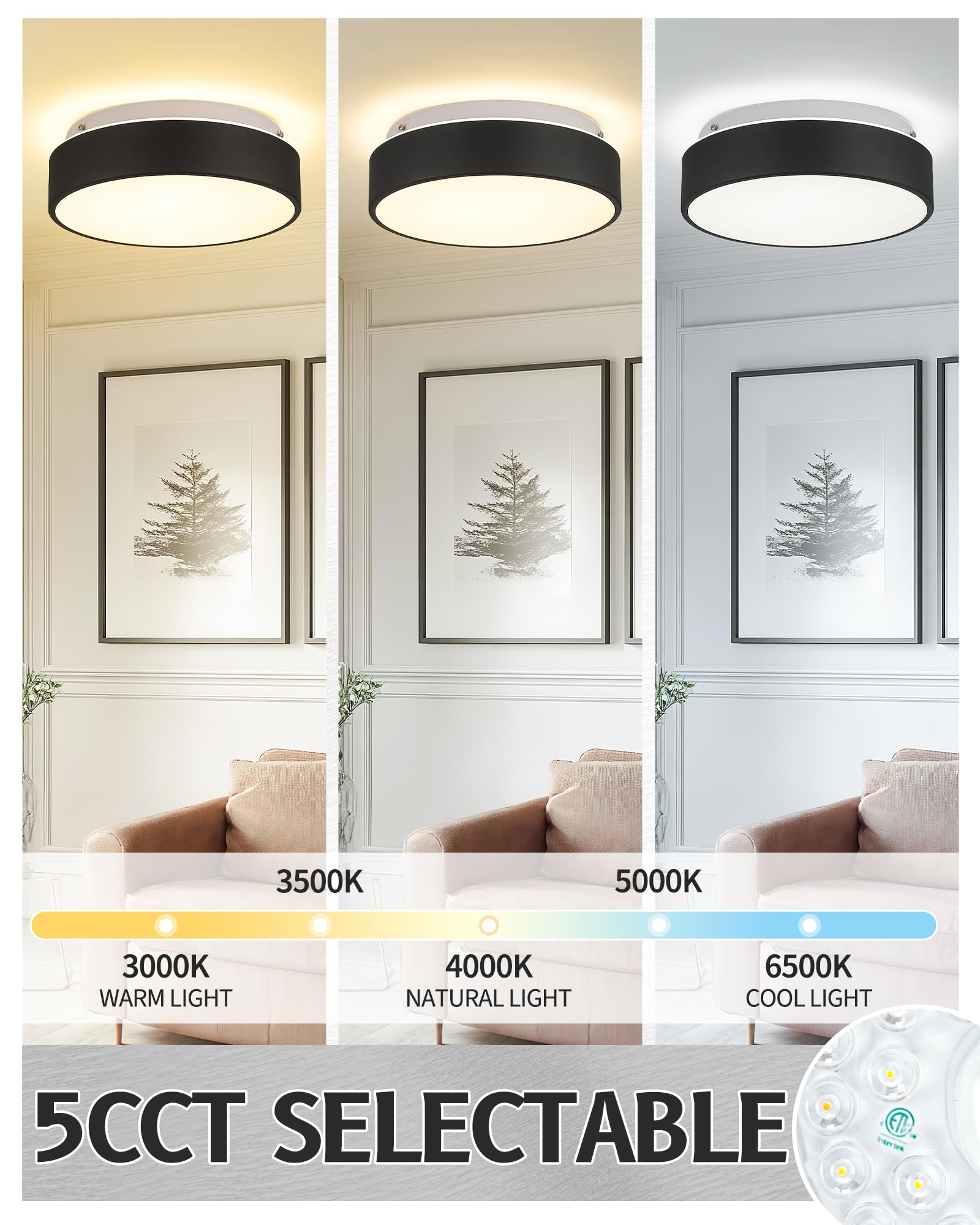Autelo Flush Mount Ceiling Light-Black Ceiling Light Fixture - 12Inch Led Close To Celing Lights With Frosted Glass Shade C3312