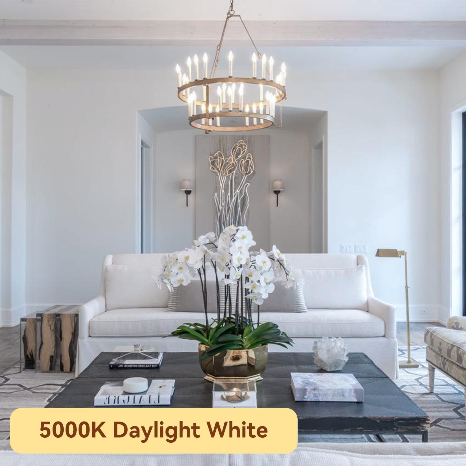 Tjoy Led Candelabra Bulbs Dimmable, 60W Equivalent Chandelier Light Bulbs, E12 Small Base, 4.5W 5000K Daylight, 500Lm, B11 Vinta