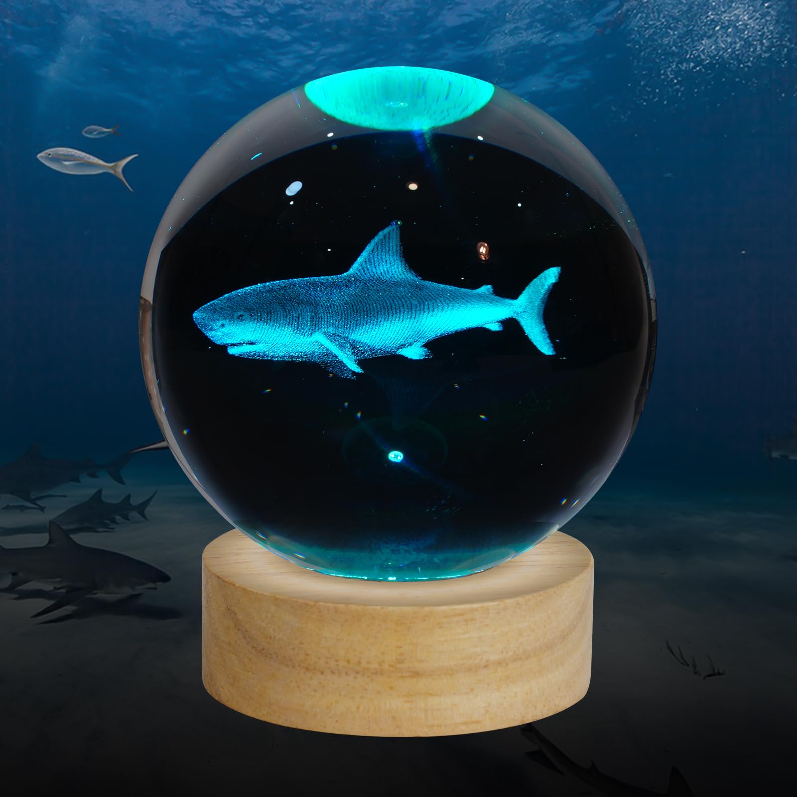 ZXBLAQ 3D Shark Crystal Ball Night Light, Upgraded 3.15 Inch Glass Ball Lamp with 16 Color LED Wooden Base, Shark Night Light De
