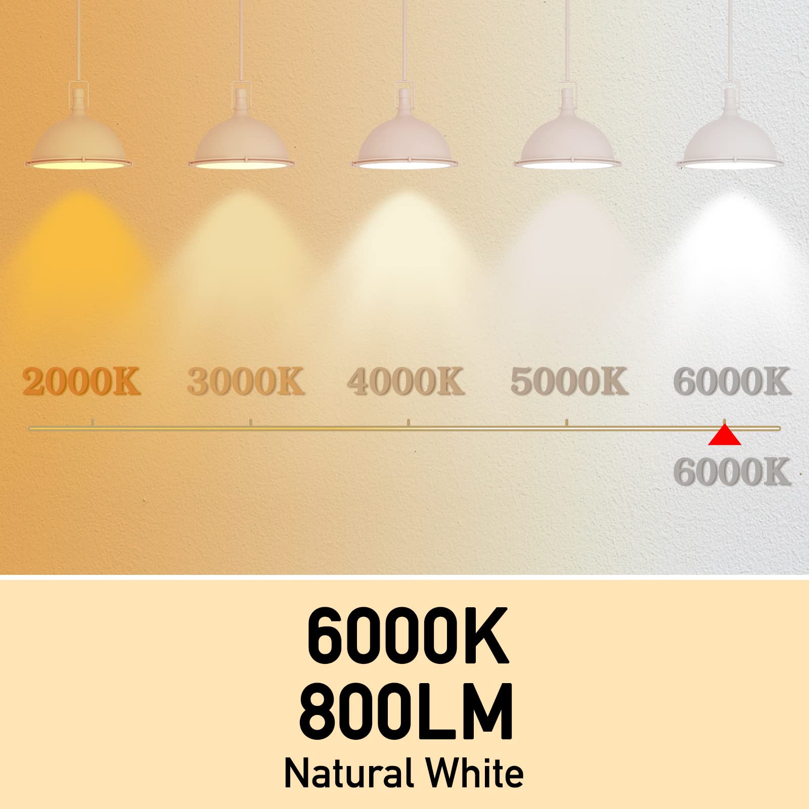 Full Spectrum Light Bulb, 6000K Natural Sunlight Bulbs, 9W 60W Equivalent Led Light Bulb, Natural Light Bulbs A19, E26/E27, 4 Pa