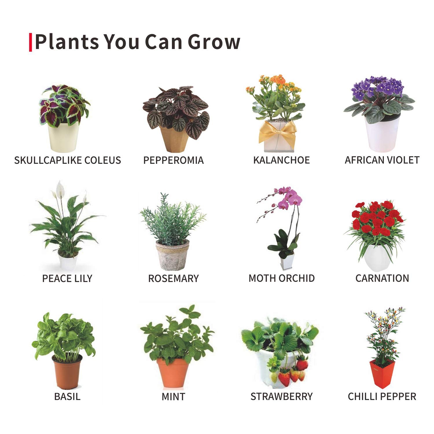 Riverlux Led Grow Light For Indoor Plants, 360 Degree Adjustable Gooseneck With Blue Red Leds, Clip Plant Growing Lamp, Succulen