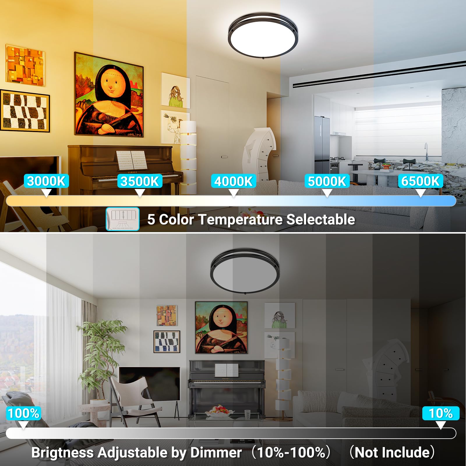 Libtit 10Inch Flush Mount Ceiling Lights  18W Dimmable Led Ceiling Light 3000K-6500K Adjustable  Black Lighting Fixture For Closet Kitchen Hallway Bathroom-2 Pack