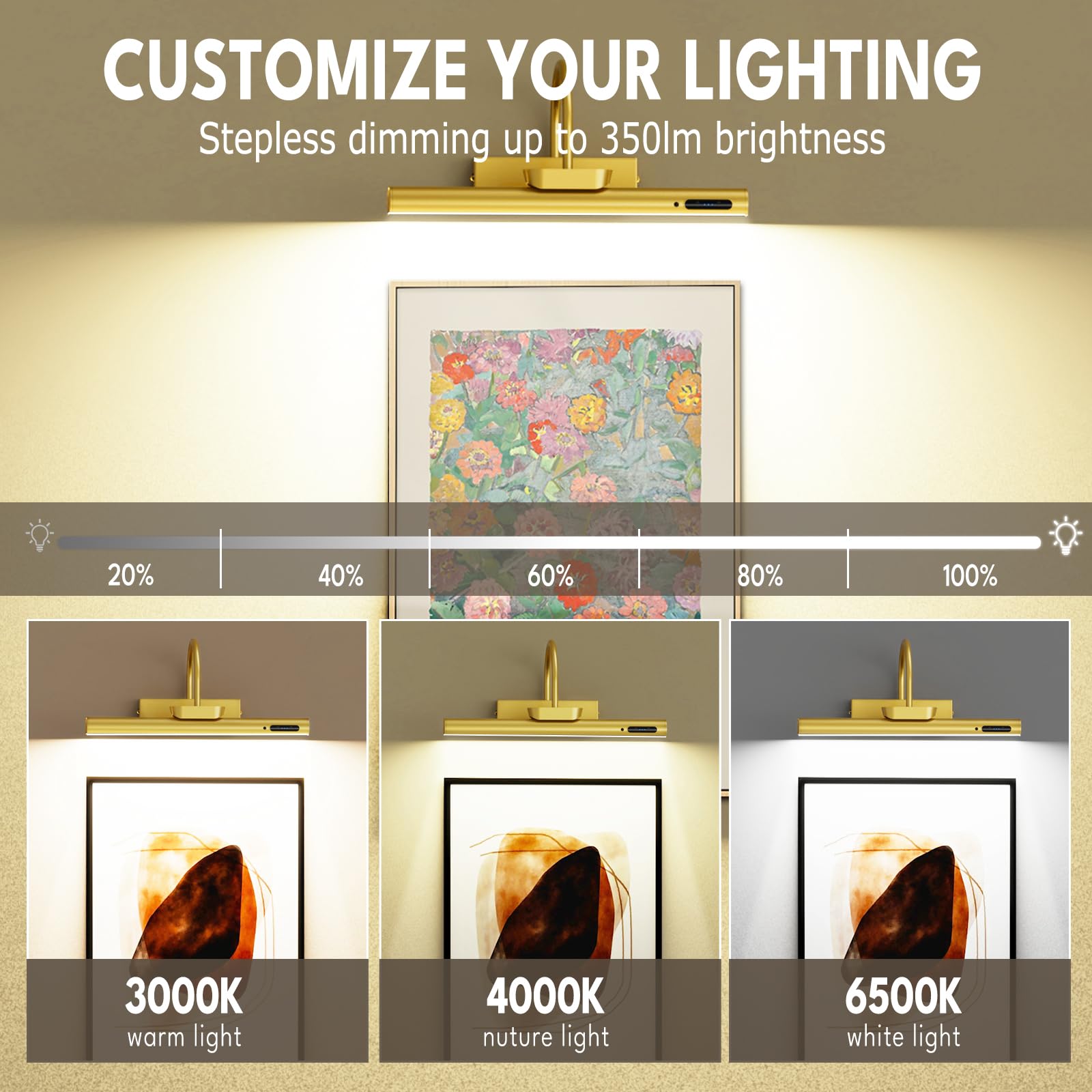 Bridika 19.7in Battery Operated Picture Light - Dimmable Gold Aluminum Art Light for Wall, Model YZ500