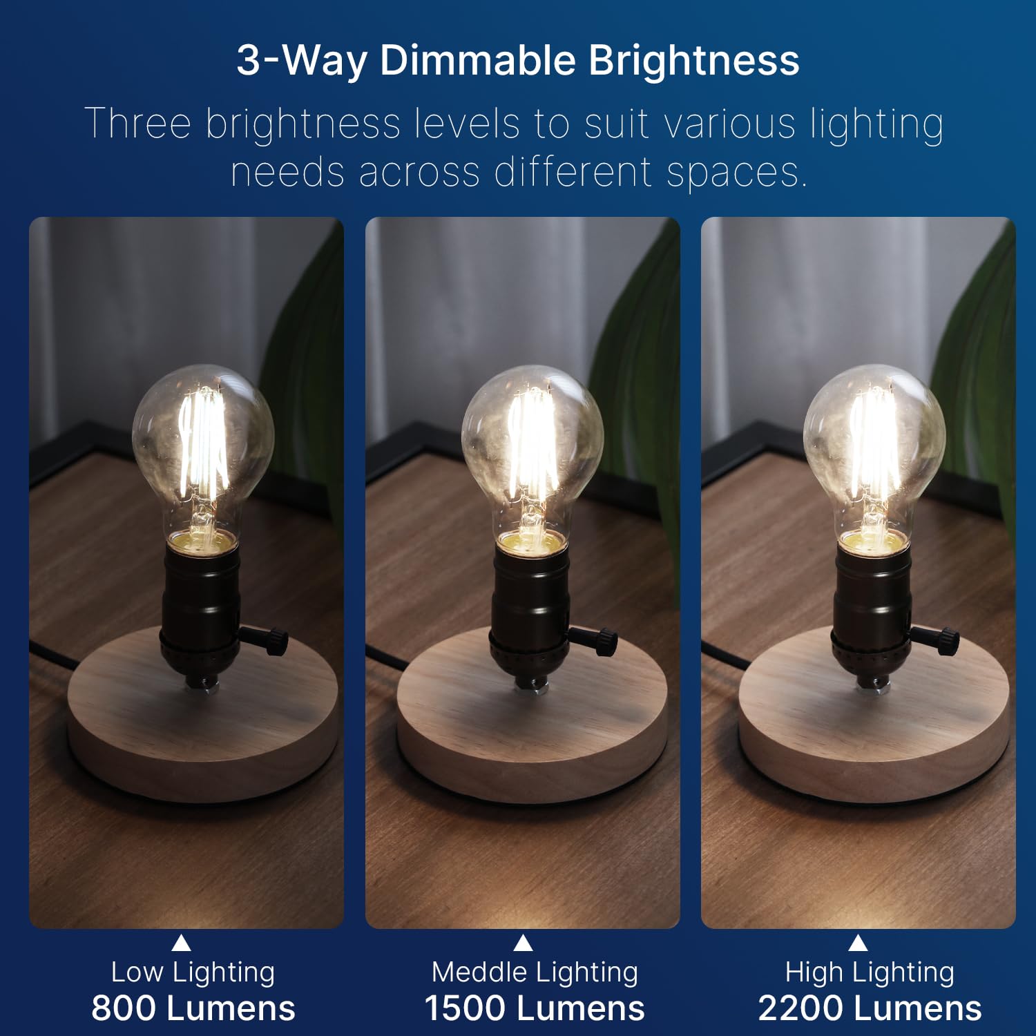 Flsnt 3 Way Led Light Bulb E26 Standard Base, 50W 100W 150W Equivalent, 3-Way Dimmable A23 Led Clear Light Bulbs, 5000K Daylight