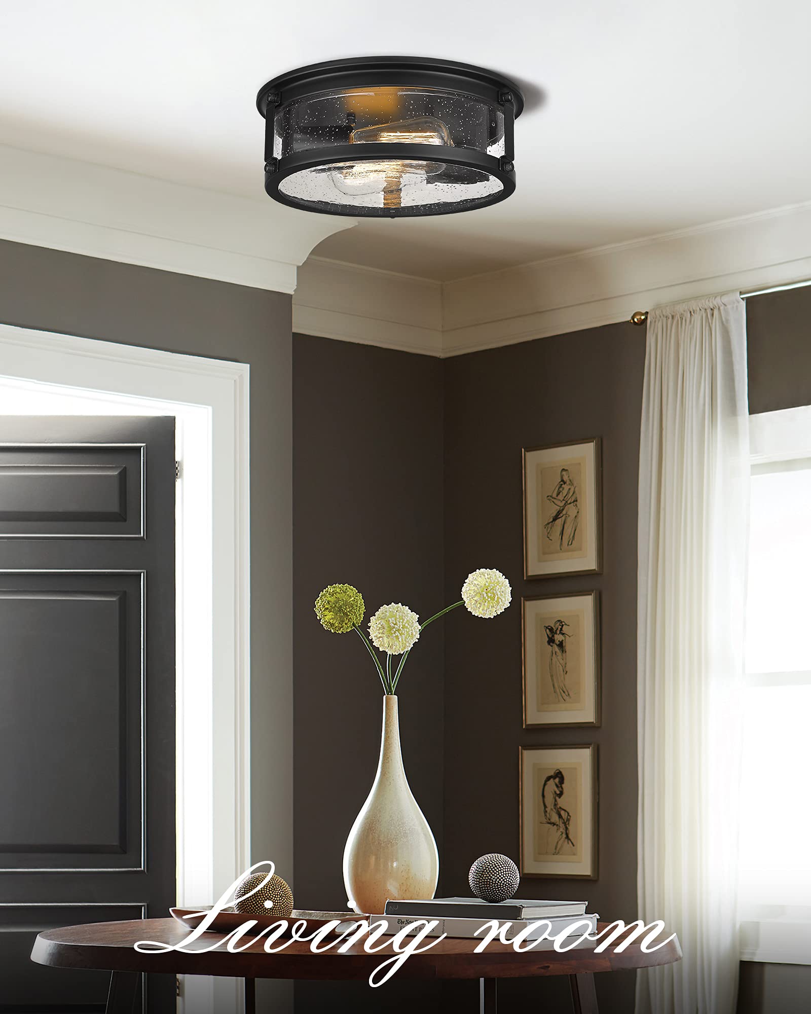 Foitton 2-Pack Vintage 2-Light Flush Mount Ceiling Fixtures, Black Metal Cage, 12Inch