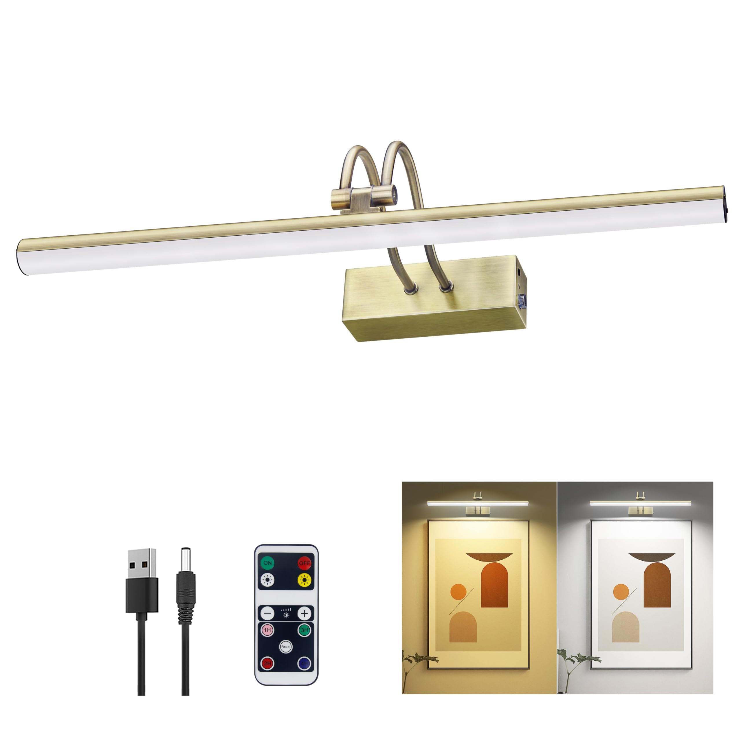 RAIFOOLLY Picture Light,16in Wireless Battery Wall Lighting,2 Colors Remote Art Lights for Paintings with Timer and Dimmable for