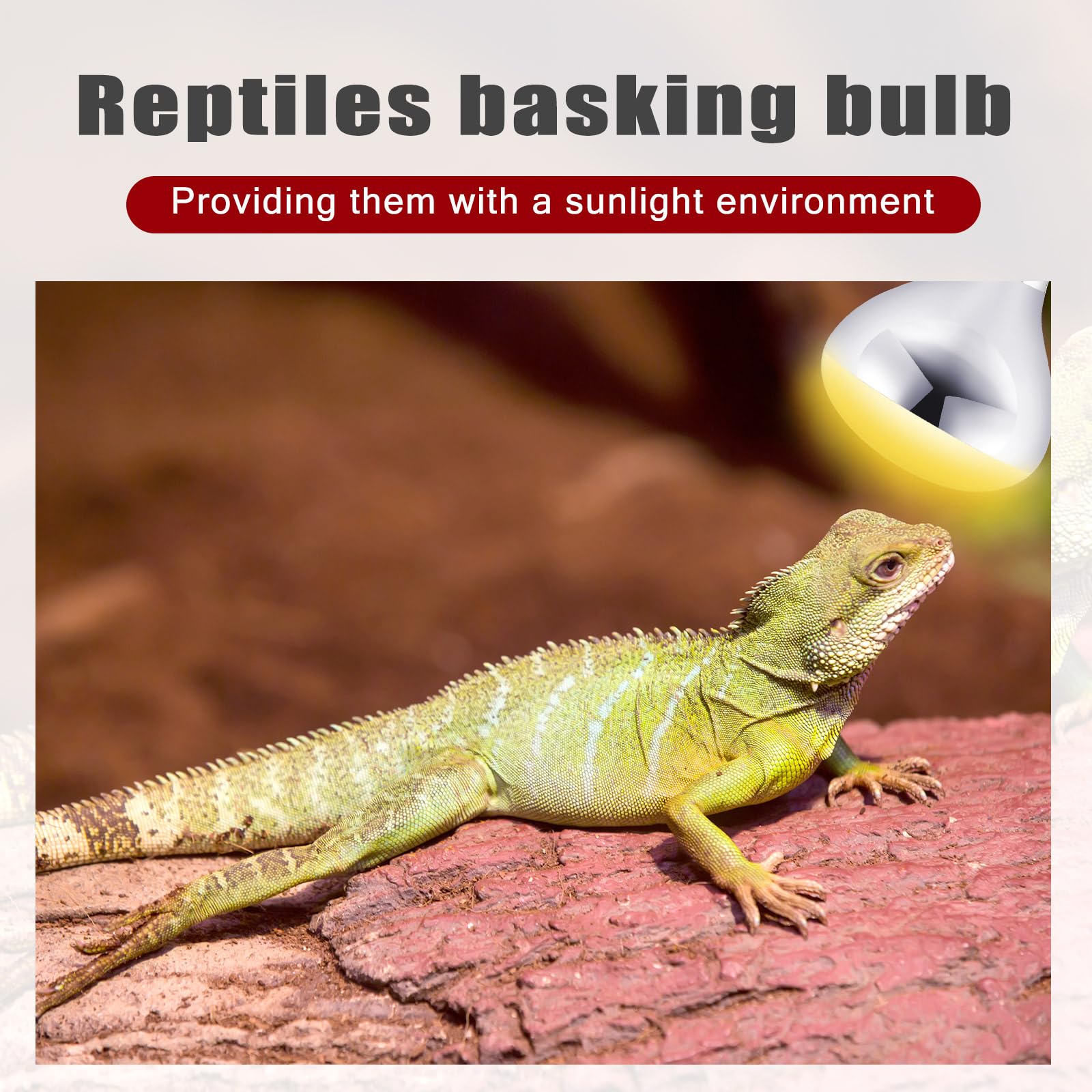 VIHOSE 250 Watt Heat Lamp Bulbs, R40 Incandescent Glass Light for Reptiles, Chicks, Puppies, E26 Base, Silver/Red, Model ANB-VIHO