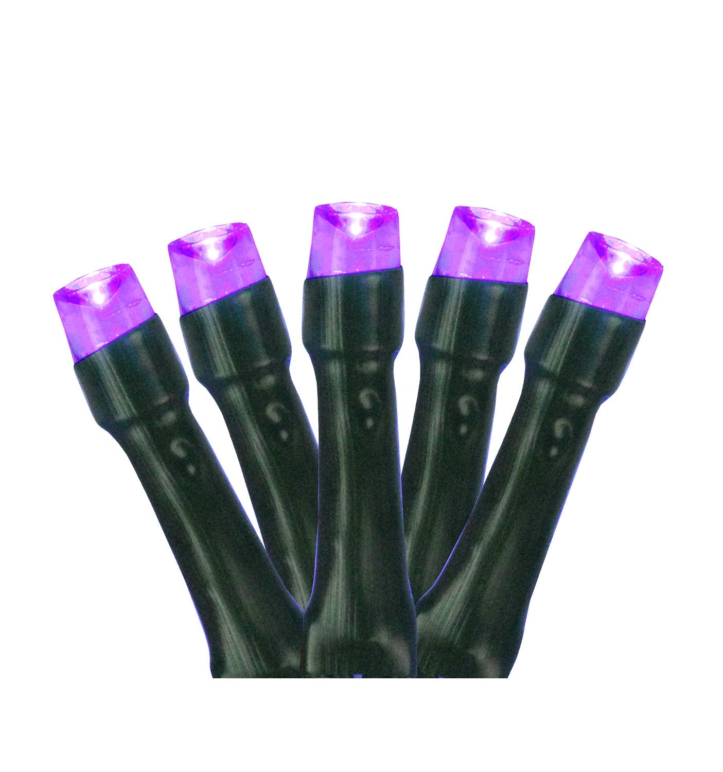 Northlight Battery Operated LED Christmas Lights 20ct - 9.5 Black Wire - Purple Plastic