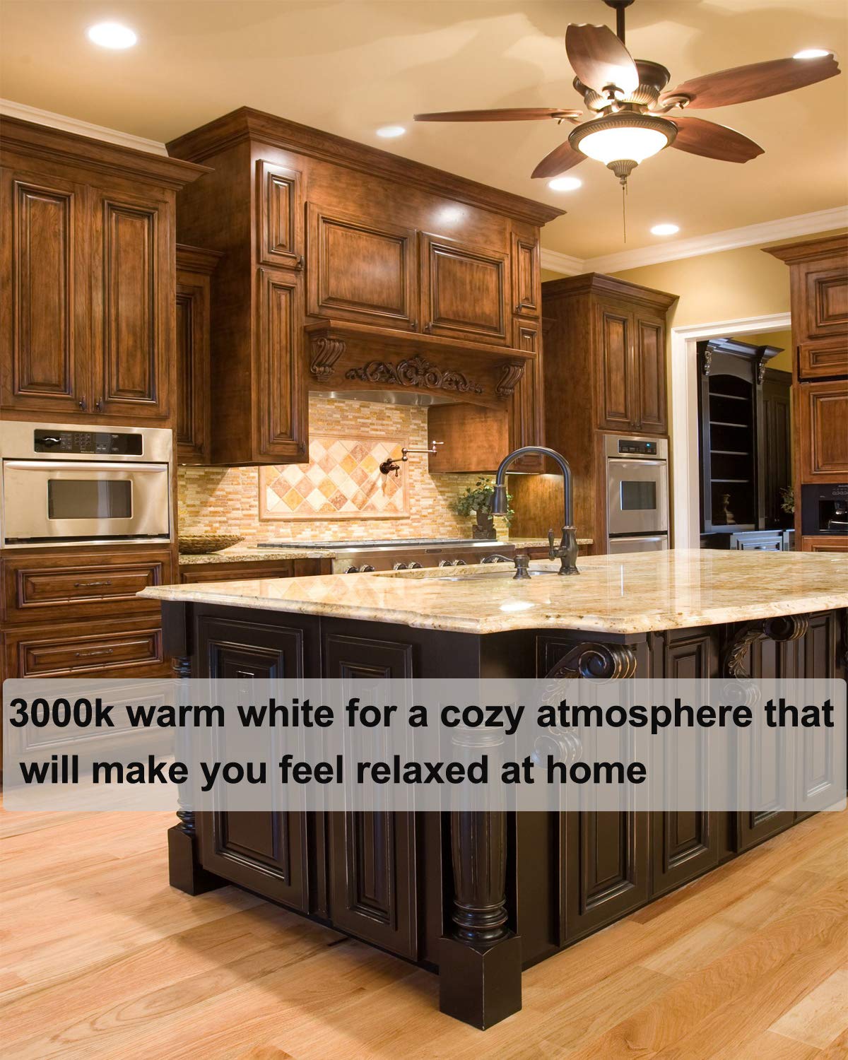 Vinaco PAR20 Halogen Light Bulbs 39W Dimmable 3000K Warm White Clear Glass 6 Count E26 Base