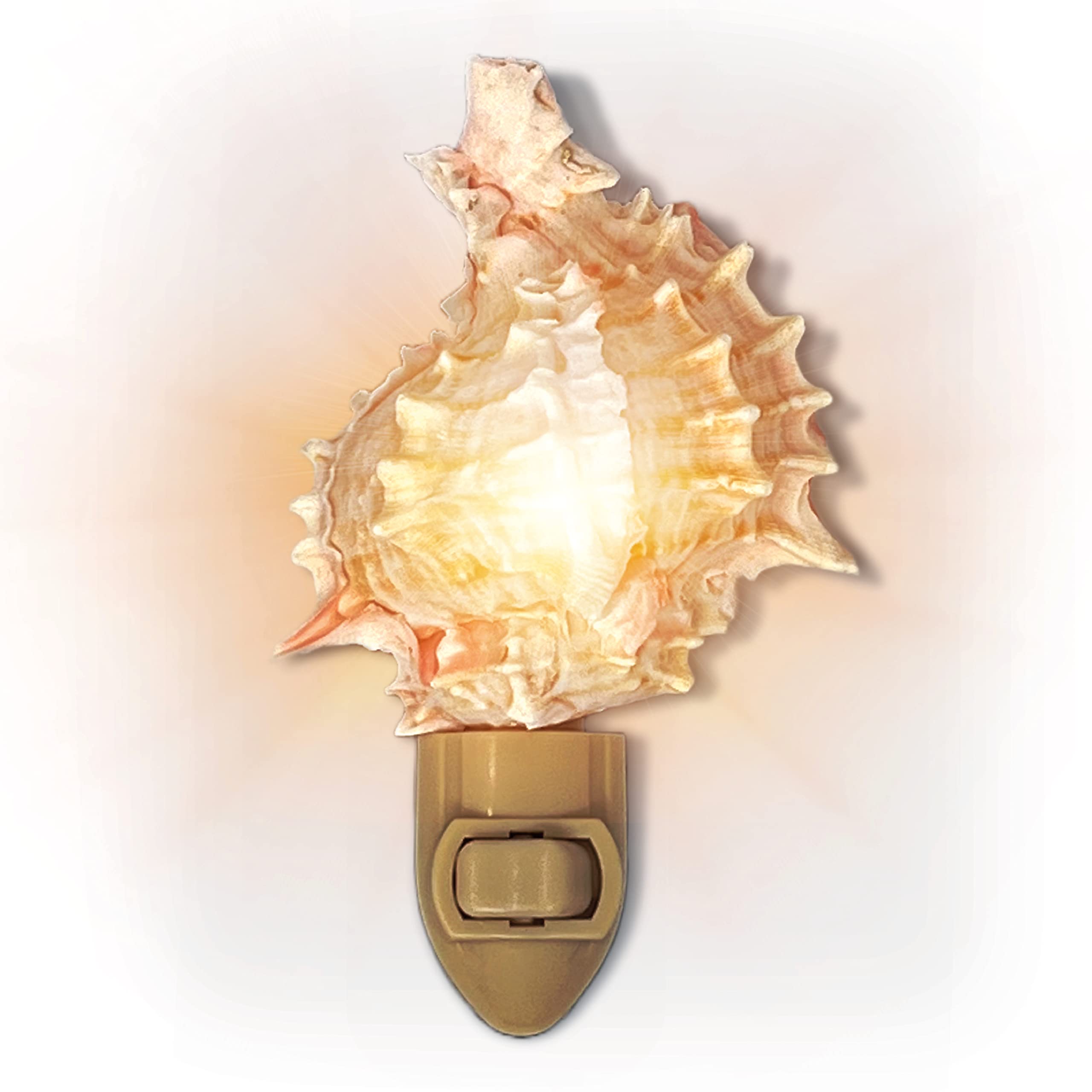 Tumbler Home Seashell Night Light, Murex Pink, Coastal Décor, Model DCR-NTL-MUREX-PINK