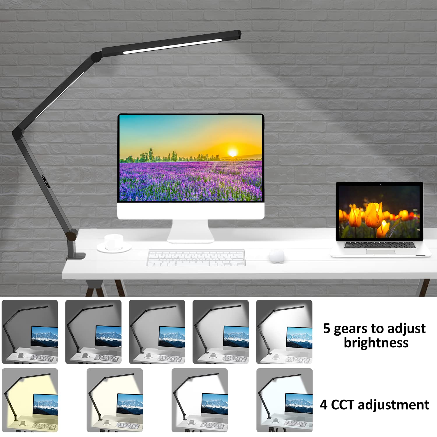 Micomlan LED Desk Lamp - Black Architect Lamp with Clamp, Dual Light, 4 CCT Modes, 5 Brightness Levels, Eye-Care Design