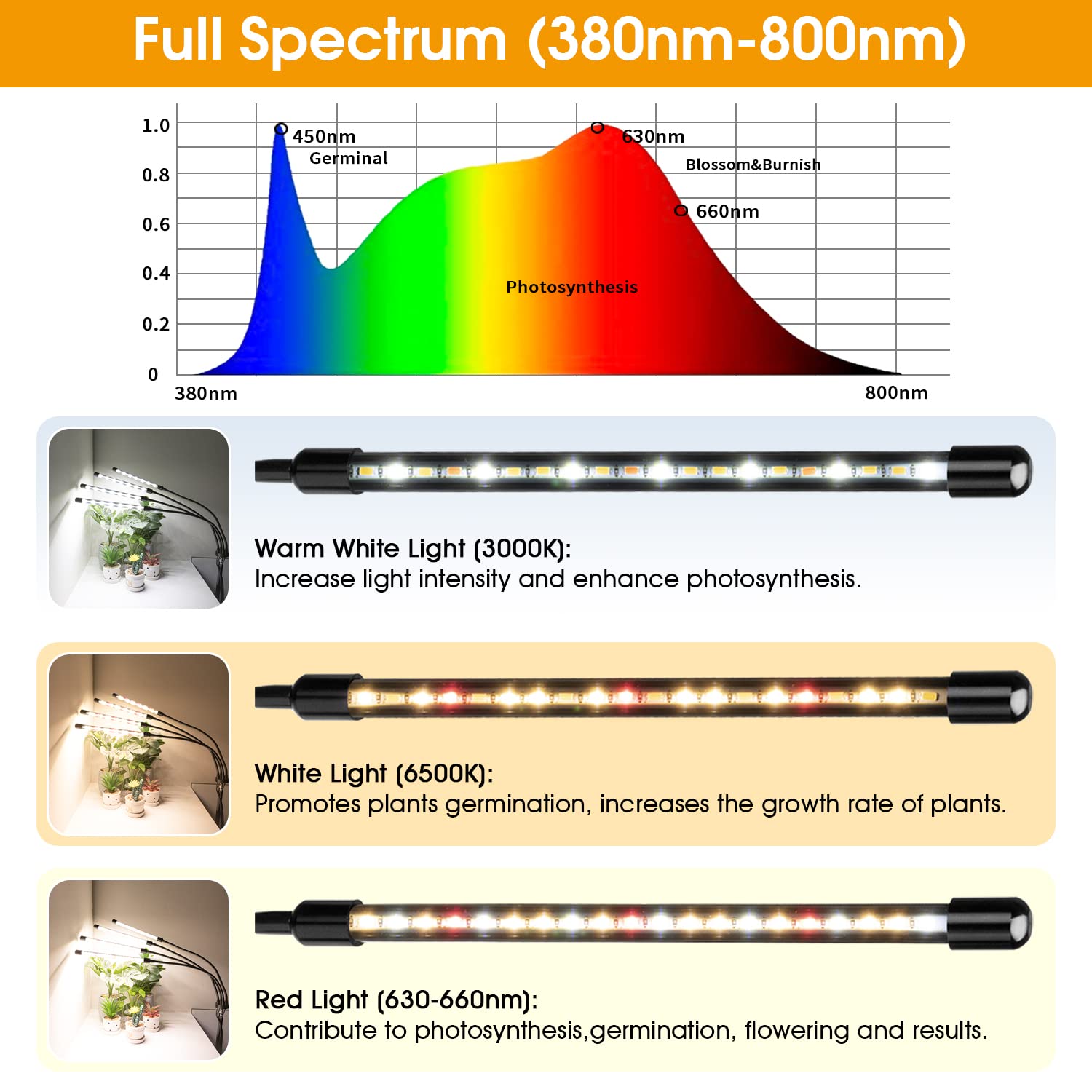 Wolezek 4-Head LED Grow Light, Full Spectrum, Adjustable Tripod Stand 15-61in, Metal, Black, Model 4GL802