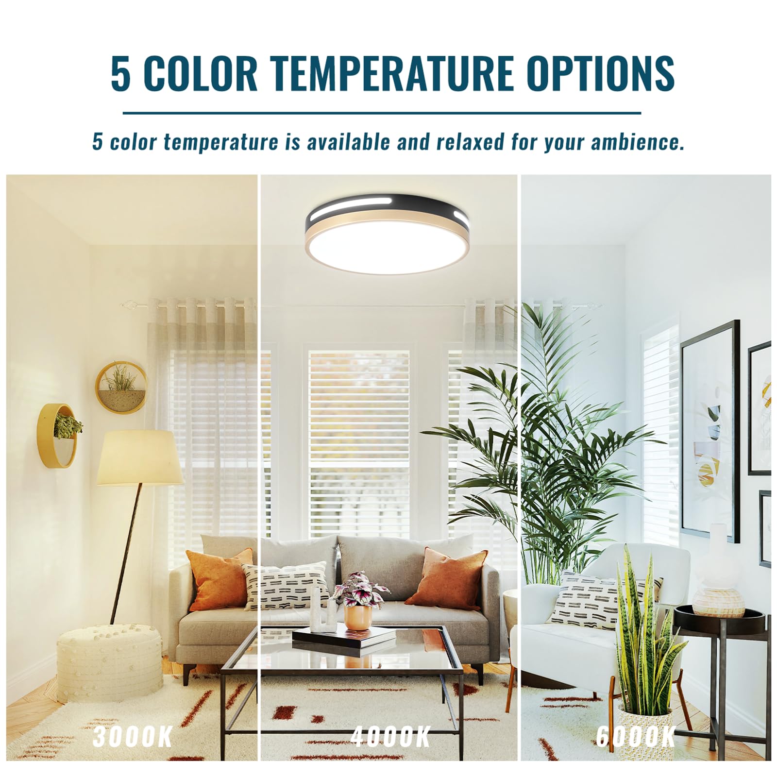 Wheatronic 24W LED Ceiling Light Flush Mount, Black & Gold 2 Pack, 12-Inch, 5CCT Fixture for Kitchen, Bedroom, Bathroom, Living Room