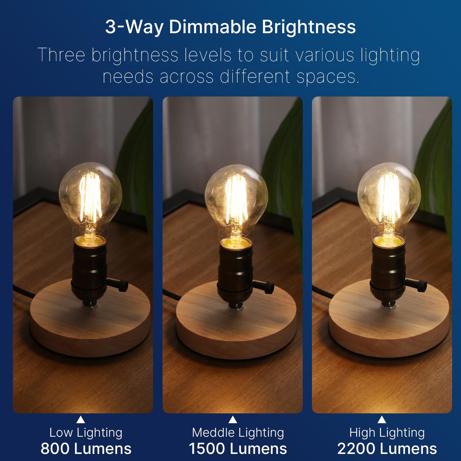 FLSNT 3-Way LED Light Bulb A23, 2700K Soft White, 50W-150W Equivalent, 2 Pack, Dimmable, Glass, 800