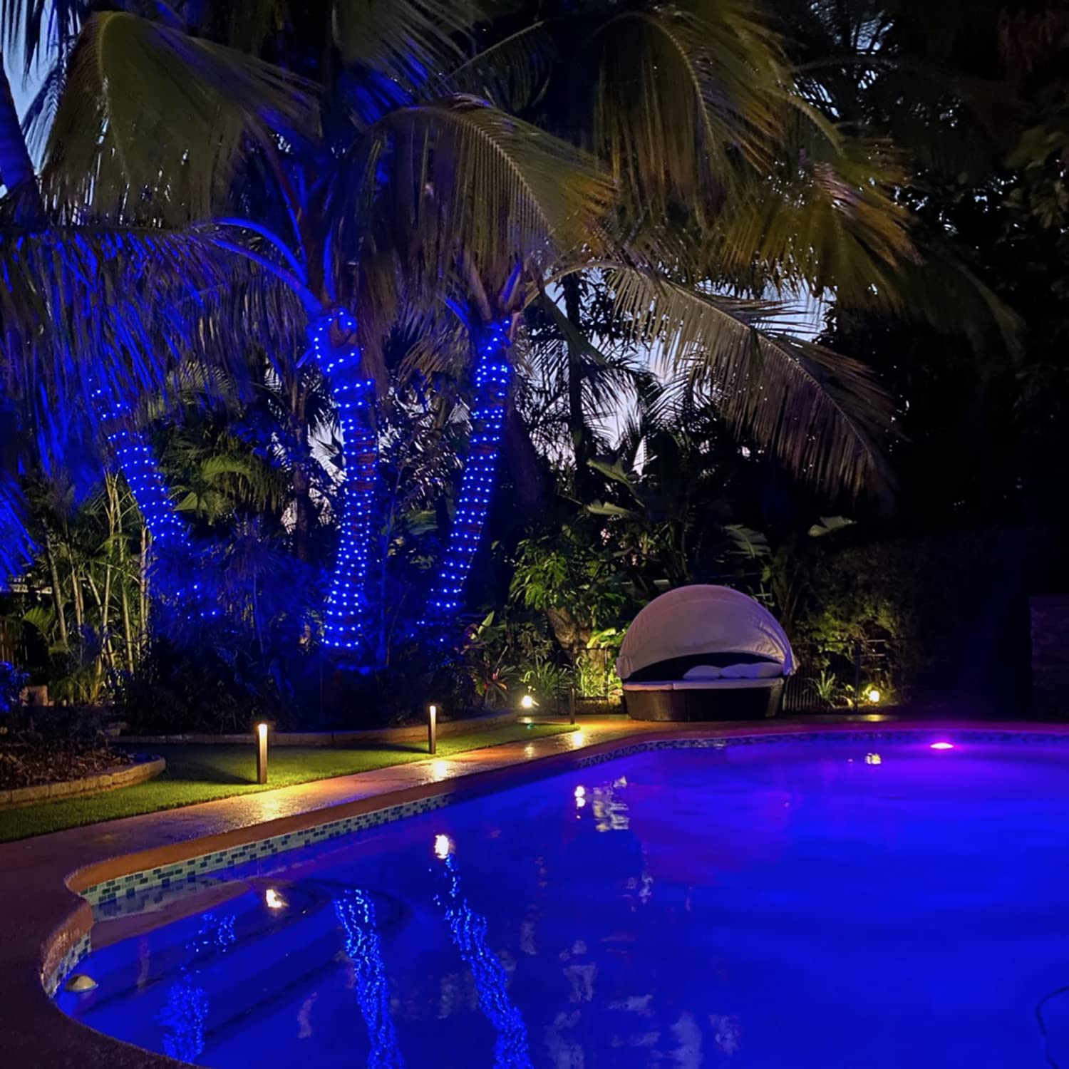 JMEXSUSS Solar Rope Lights, 120 LED, 39.4ft, Waterproof, 8 Modes, Outdoor Fairy Lights for Garden, Fence, Patio, Pool, Blue