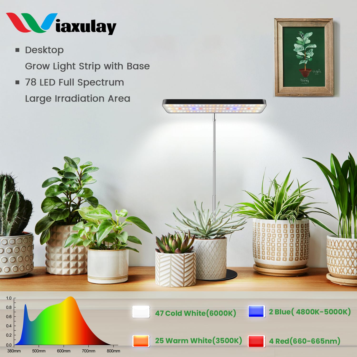 Wiaxulay Full Spectrum Grow Lights, Height Adjustable Desktop Lamp, 3 Modes, 5 Brightness, 2 Pack, Black, Model BL-J10B