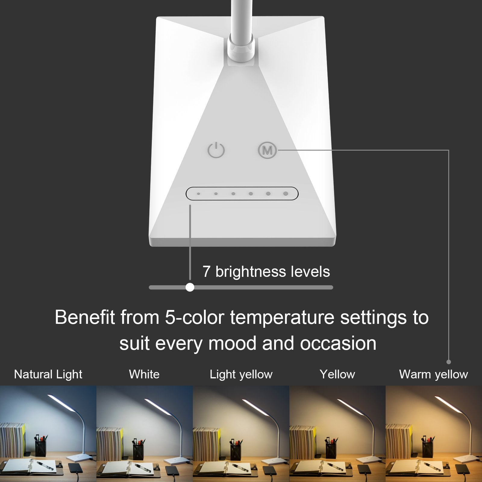 RAOYI LED Desk Lamp, 12W Dimmable Eye-Caring Light, Touch Control, 5 Color Modes, USB Charging, White, Model LAM10A