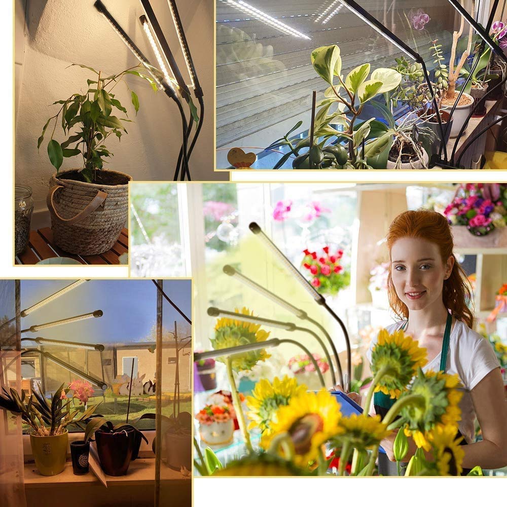 bseah Grow Light for Indoor Plants, Full Spectrum LED, 4 Goosenecks, Timer, Sunlight Yellow