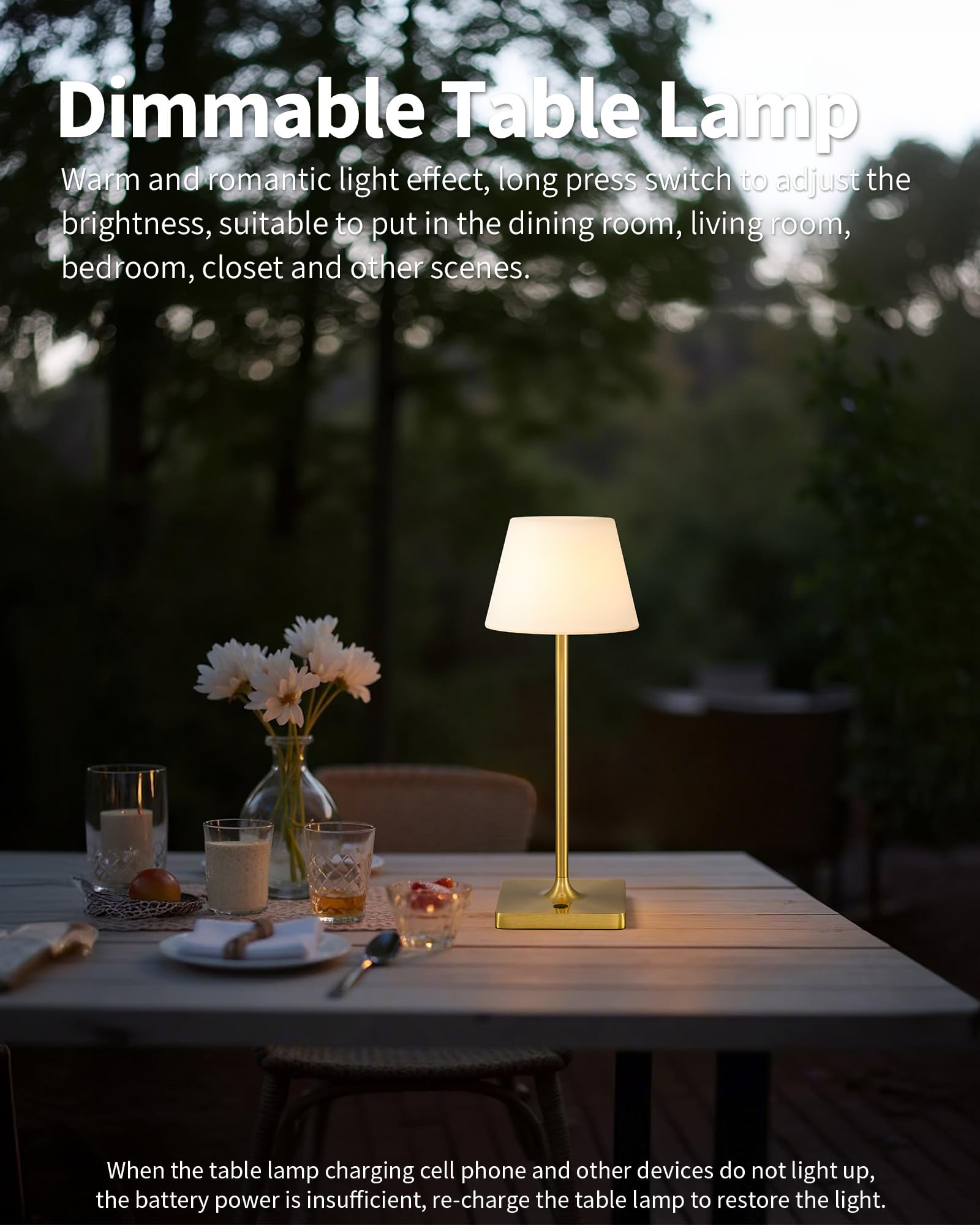 NEWSEE LED Cordless Table Lamp, Rechargeable Dimmable Light, 14.5in, Gold + White PE Plastic, Model AMZ-TBL-007