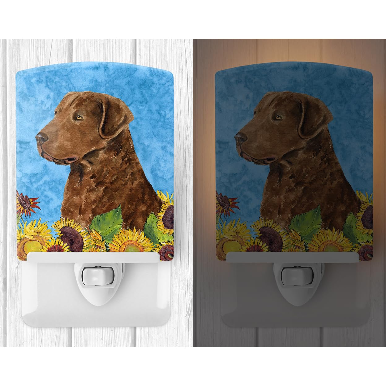 Carolines Treasures Ceramic Night Light, Curly Coated Retriever, 6x4x3in, Model SS4165CNL, Ideal for Bedroom, Bathroom, Nursery, Multicolor