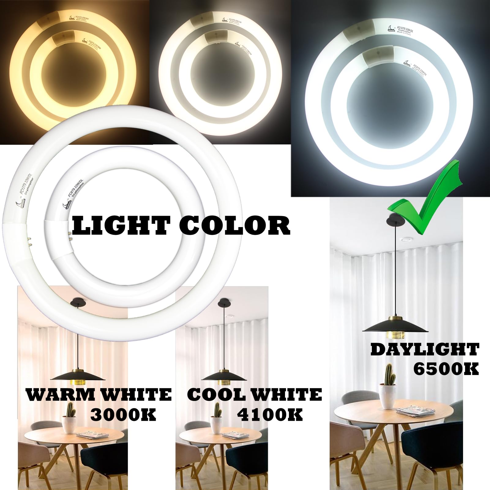 Fc8T9 22W And Fc12T9 32W Daylight Set , Round Fluorescent Bulb 8 Inch T9 22 Watts & Circular Light Bulbs 12 Inch 32 Watts Kit, C