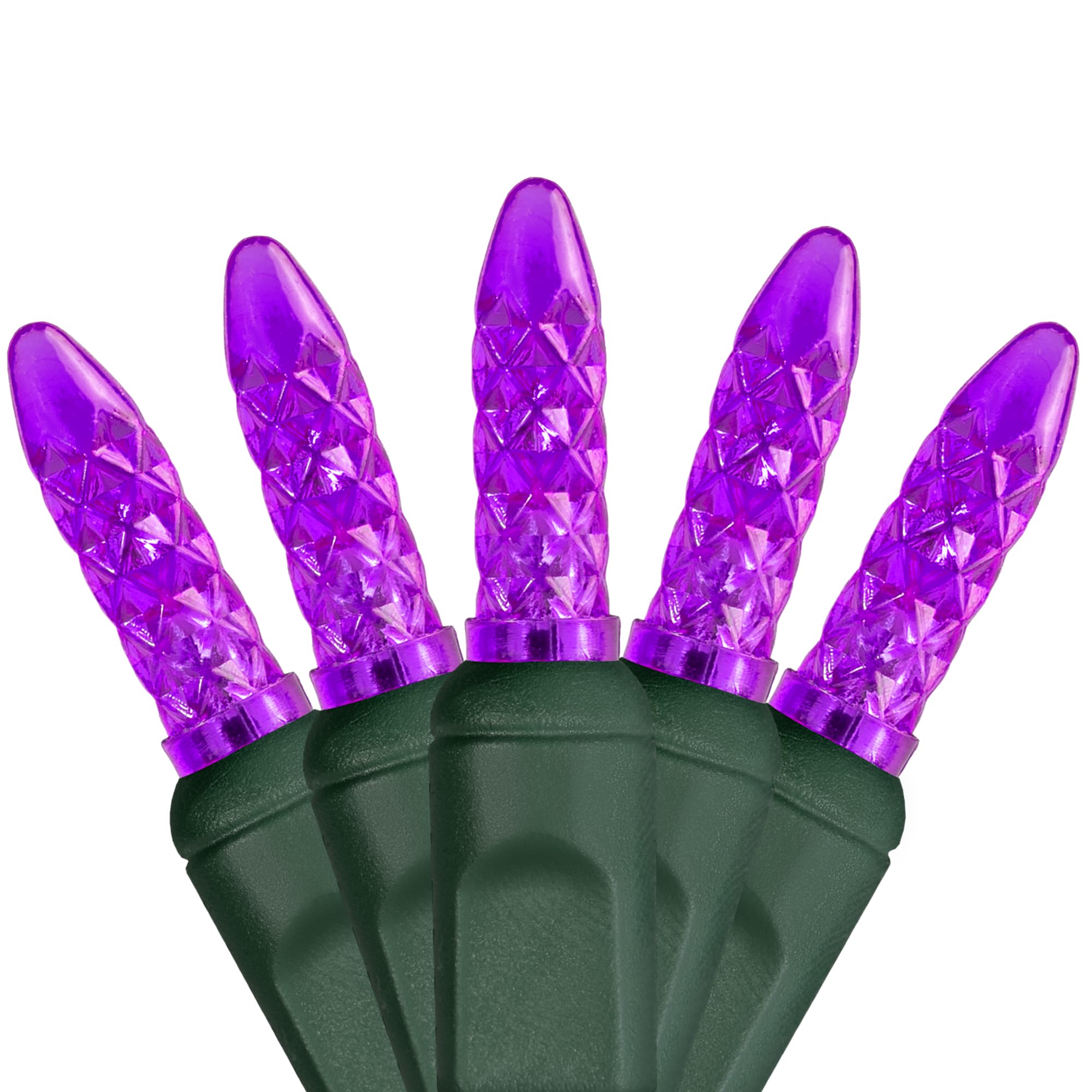 Wintergreen Lighting 24 ft M5 LED Purple Halloween Lights, 70 Count, Indoor/Outdoor, Commercial Grade, Green Wire