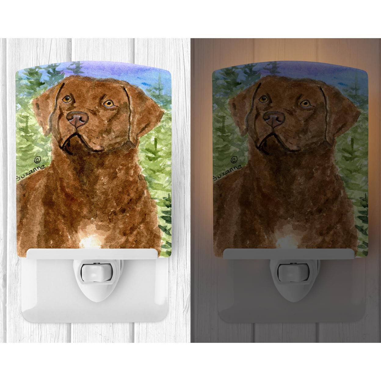 Carolines Treasures Ceramic Night Light, Chesapeake Bay Retriever, 6x4x3 inches, Model SS8933CNL, Ideal for Bedroom and Nursery