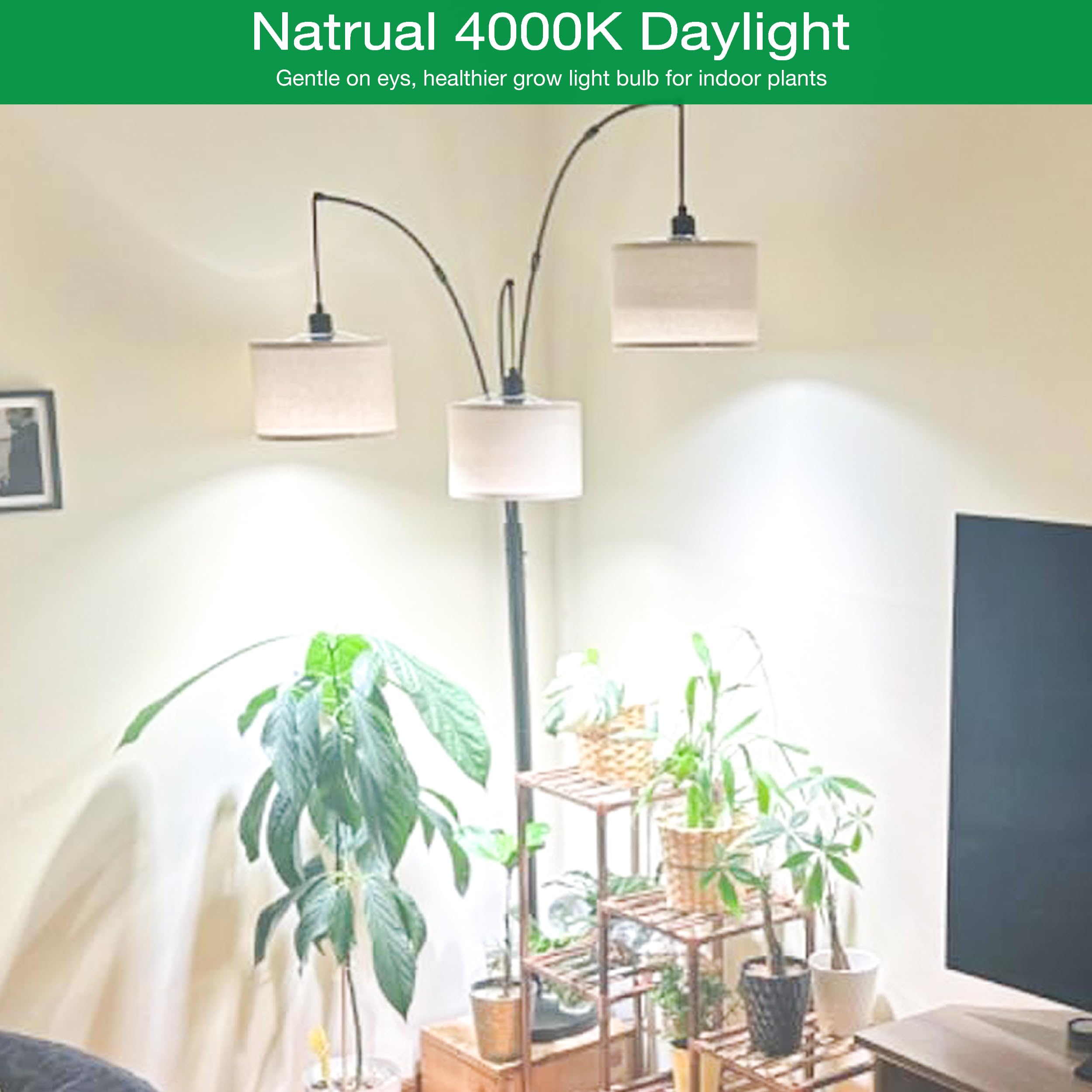 Led Grow Light Bulbs For Indoor Plants Full Spectrum, 320W Equivalent Plant Light Bulb, 4000K Plant Grow Light Bulb, Grow Bulb For E26 Regular Fixtures, Pack 1